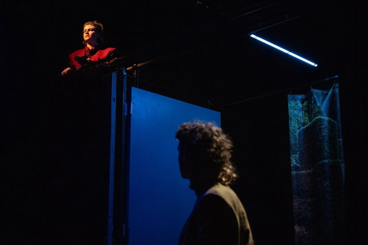 What the Butler Saw.