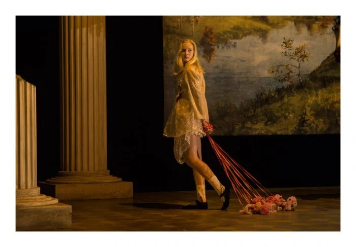 Het Hamiltoncomplex, Lies Pauwels.