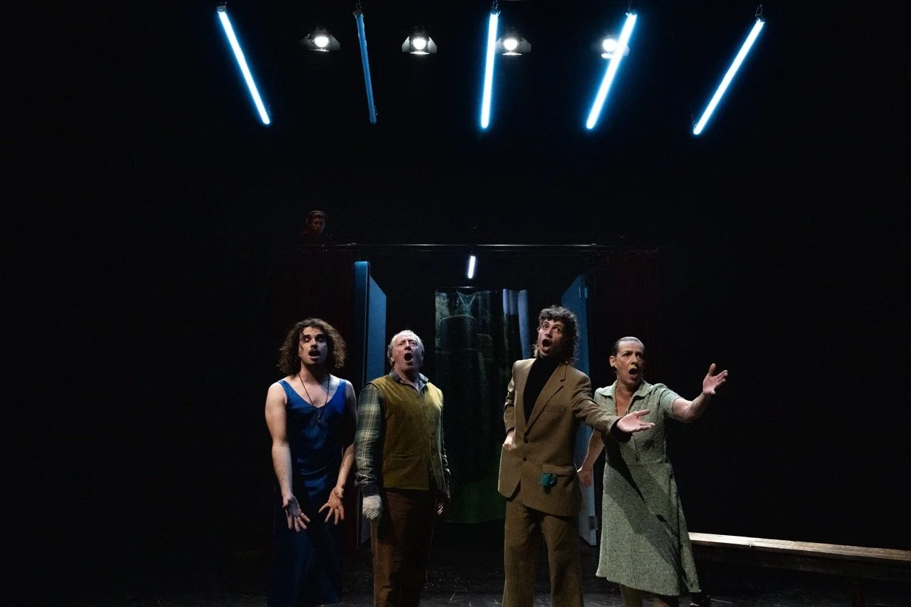 What the Butler Saw.