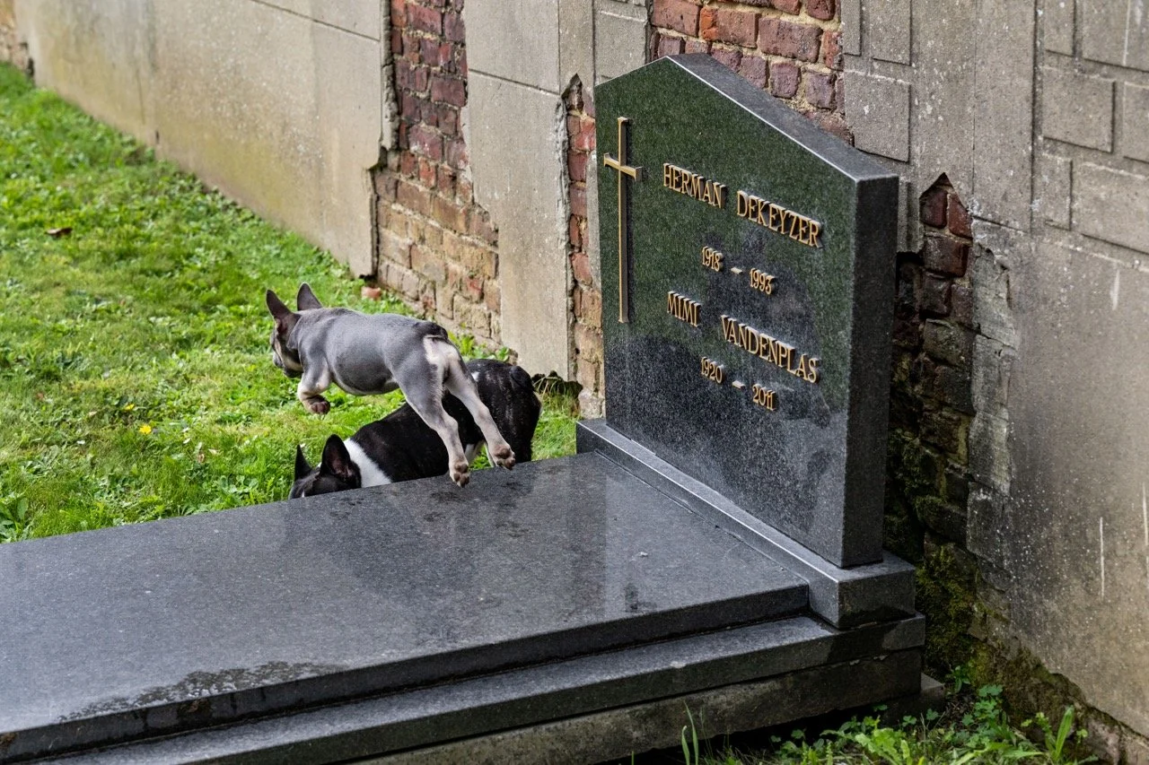 begraafplaatsLeuven30 groot.jpeg