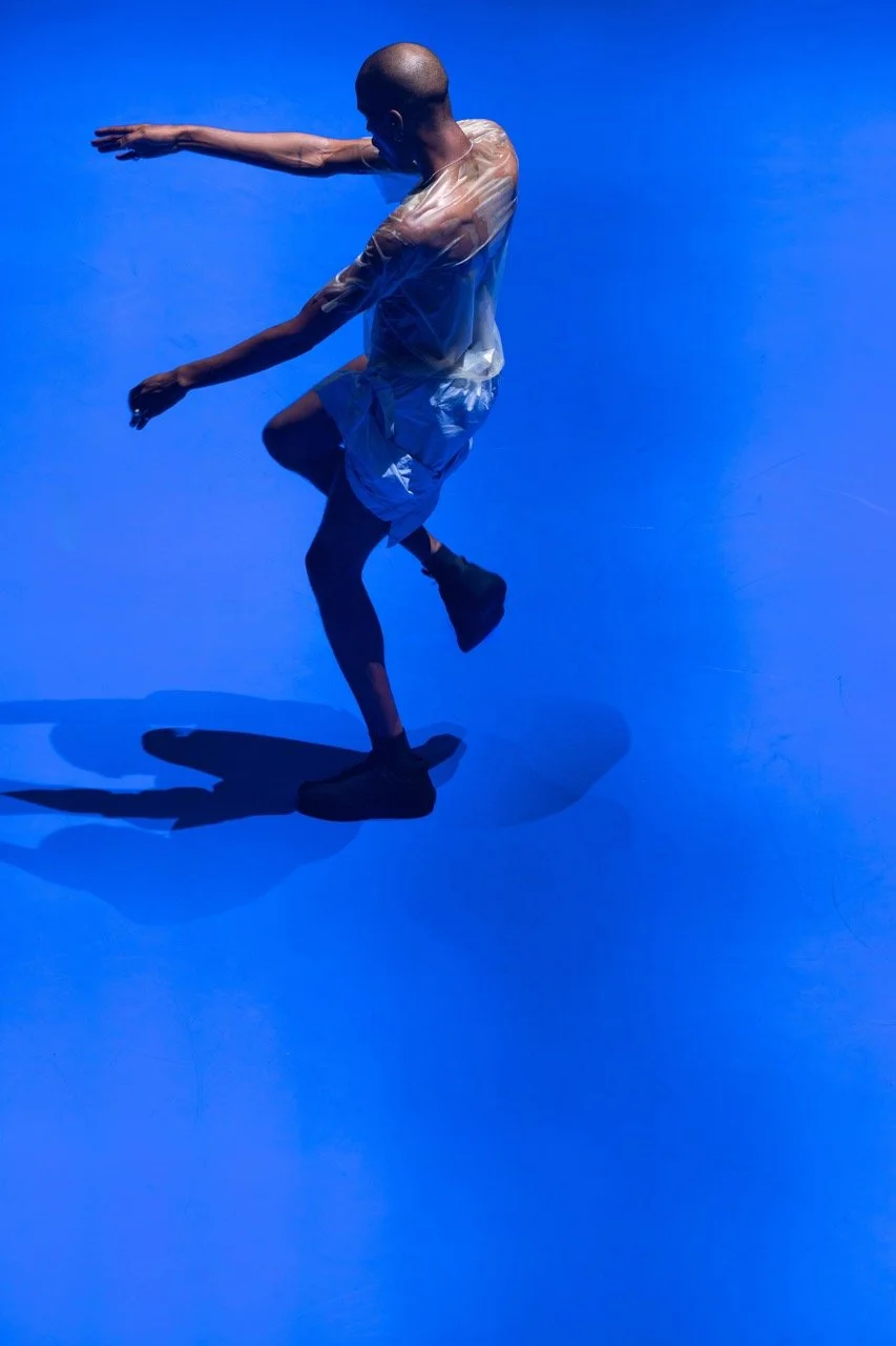 Chapters of Celebration.