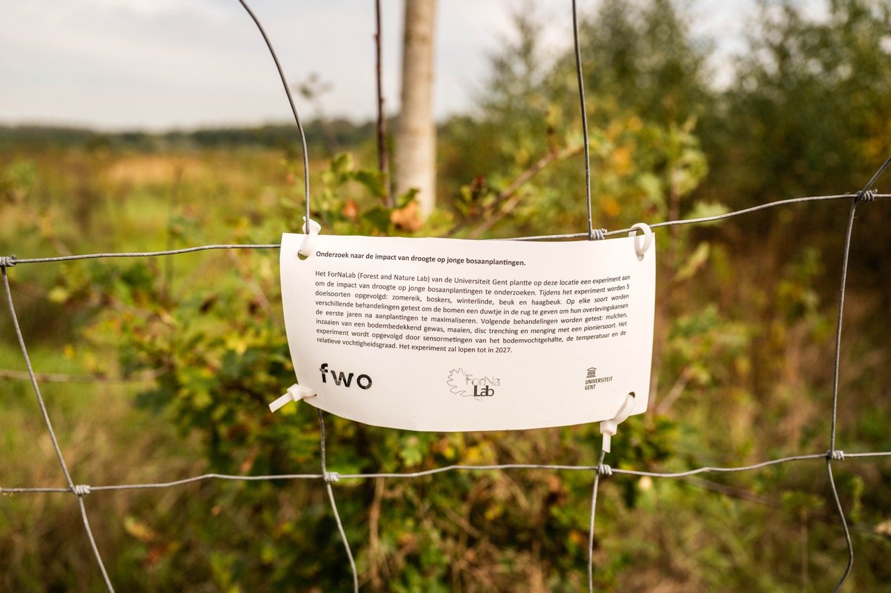 Hebben de bomen de hete zomer doorstaan?