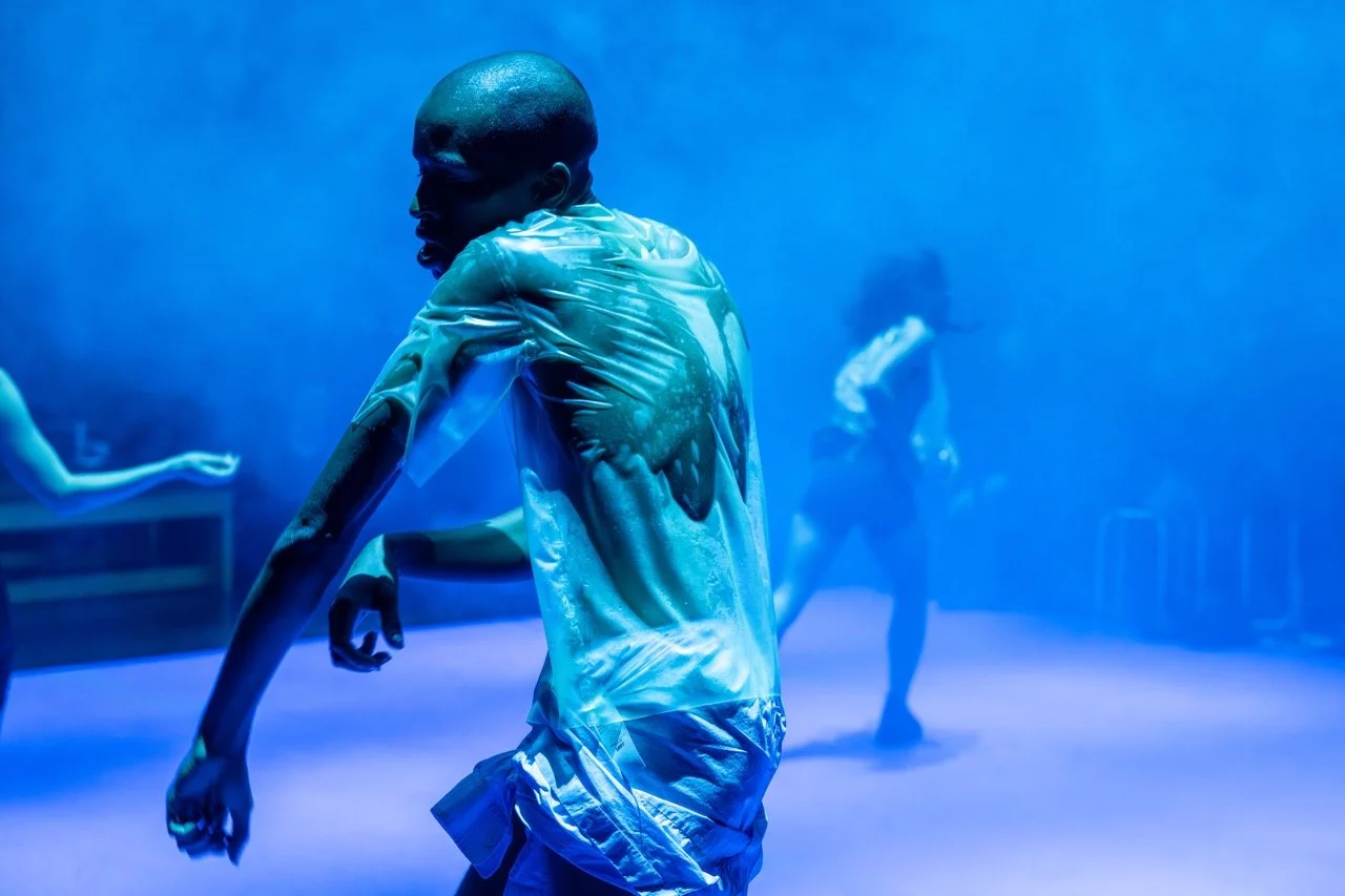 Chapters of Celebration. (Benjamin Abel Meirhaeghe).