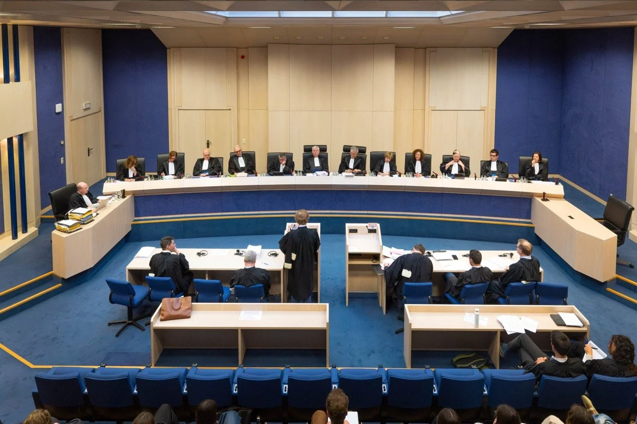 Het Grondwettelijk Hof.