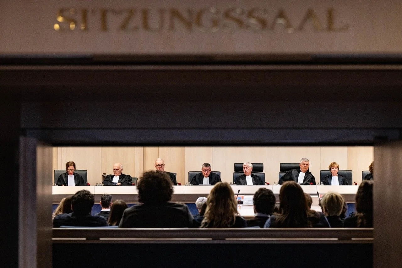 Het Grondwettelijk Hof.