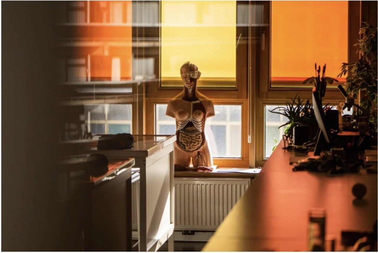 Schermafbeelding 2023-06-18 om 11.48.37 Groot.jpeg