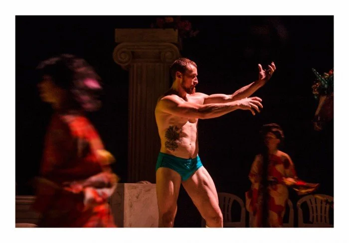 Het Hamiltoncomplex, Lies Pauwels.