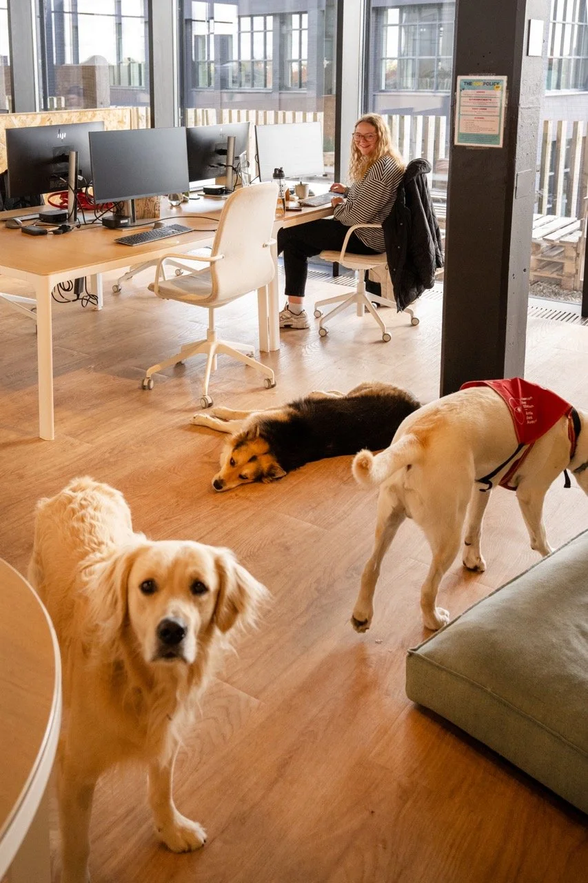 Edgard Cooper, bedrijf met honden op de werkvloer.
