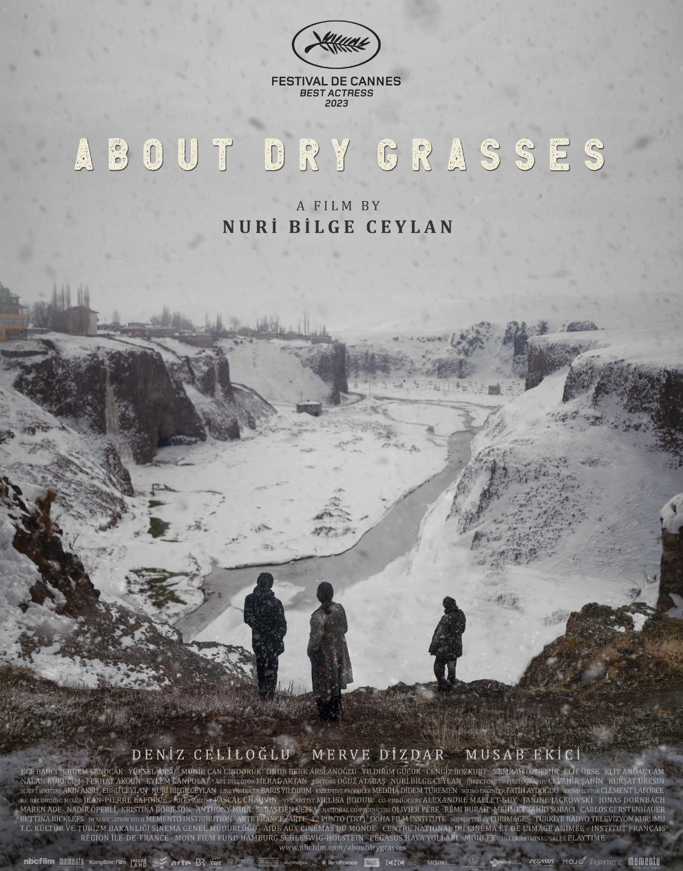 AboutDryGrasses.Poster.jpg