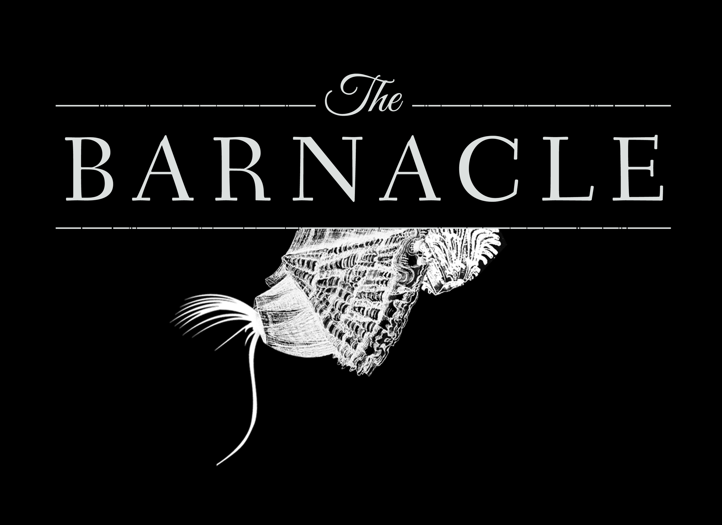 barnacle_logo on black bg.png