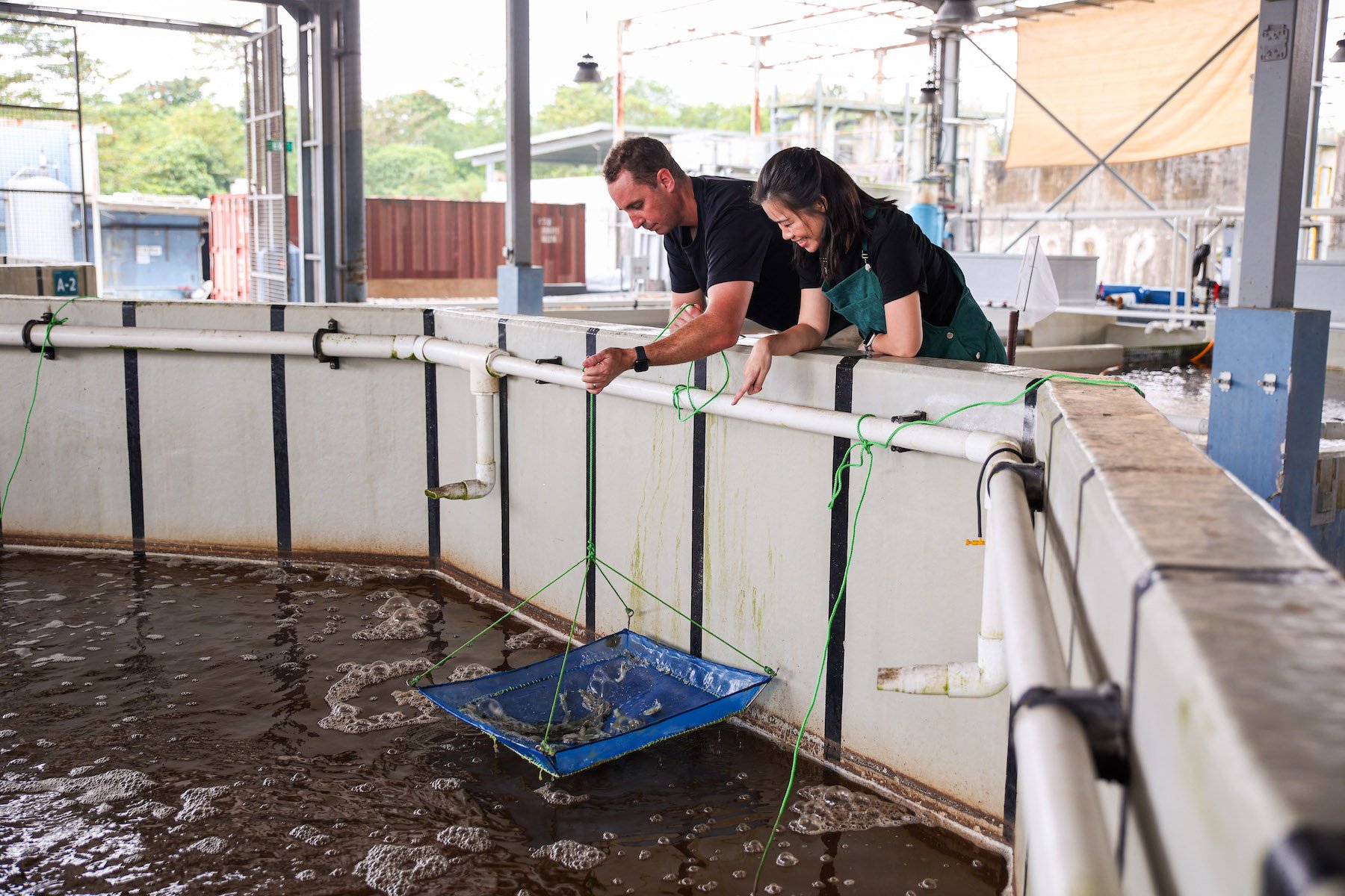 Atlas-Aquaculture_Kane-Mcguinn-and-Victoria-Yoong_1800x1200.jpeg