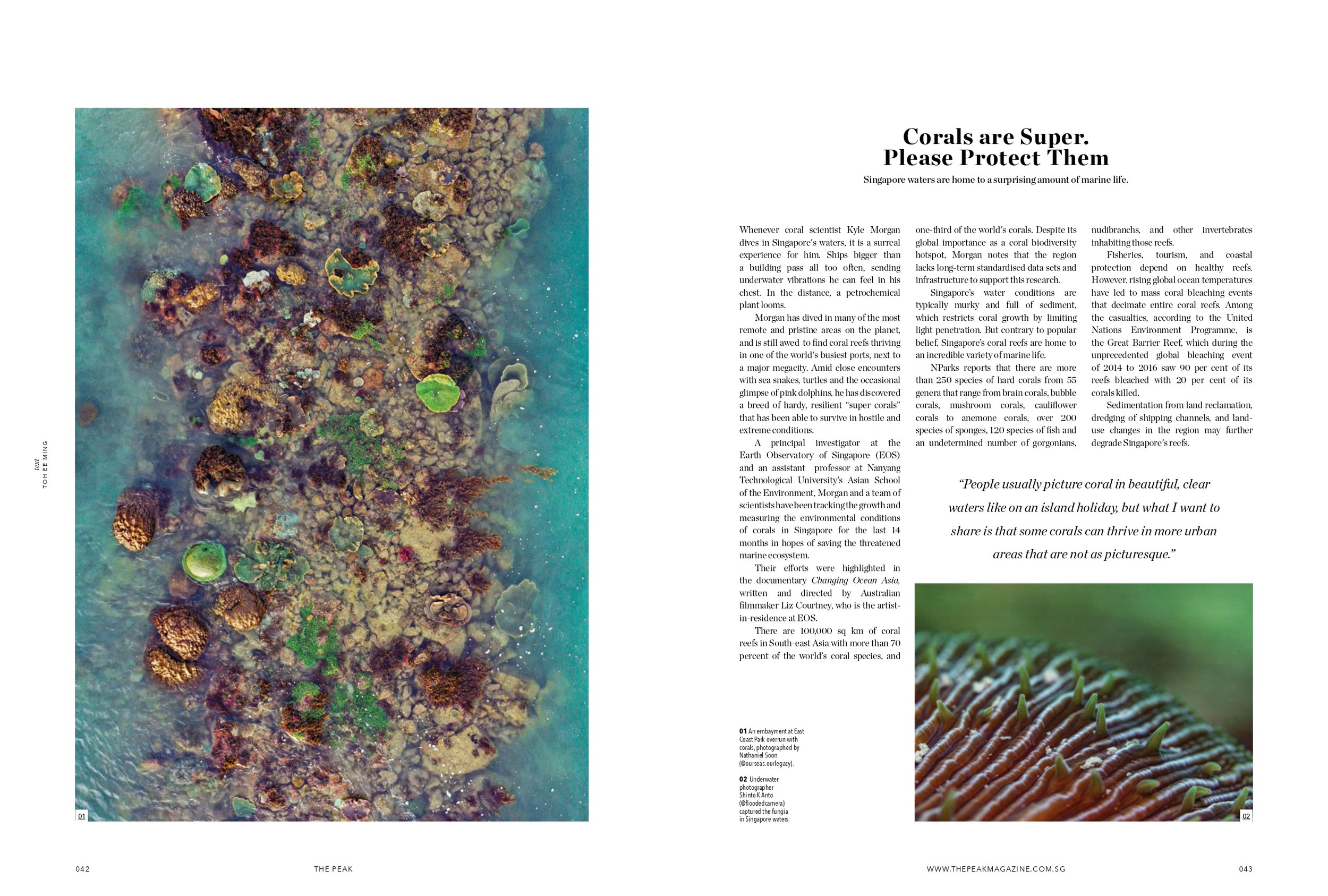 THE PEAK APR22 Coral Reefs_page-0001.jpg