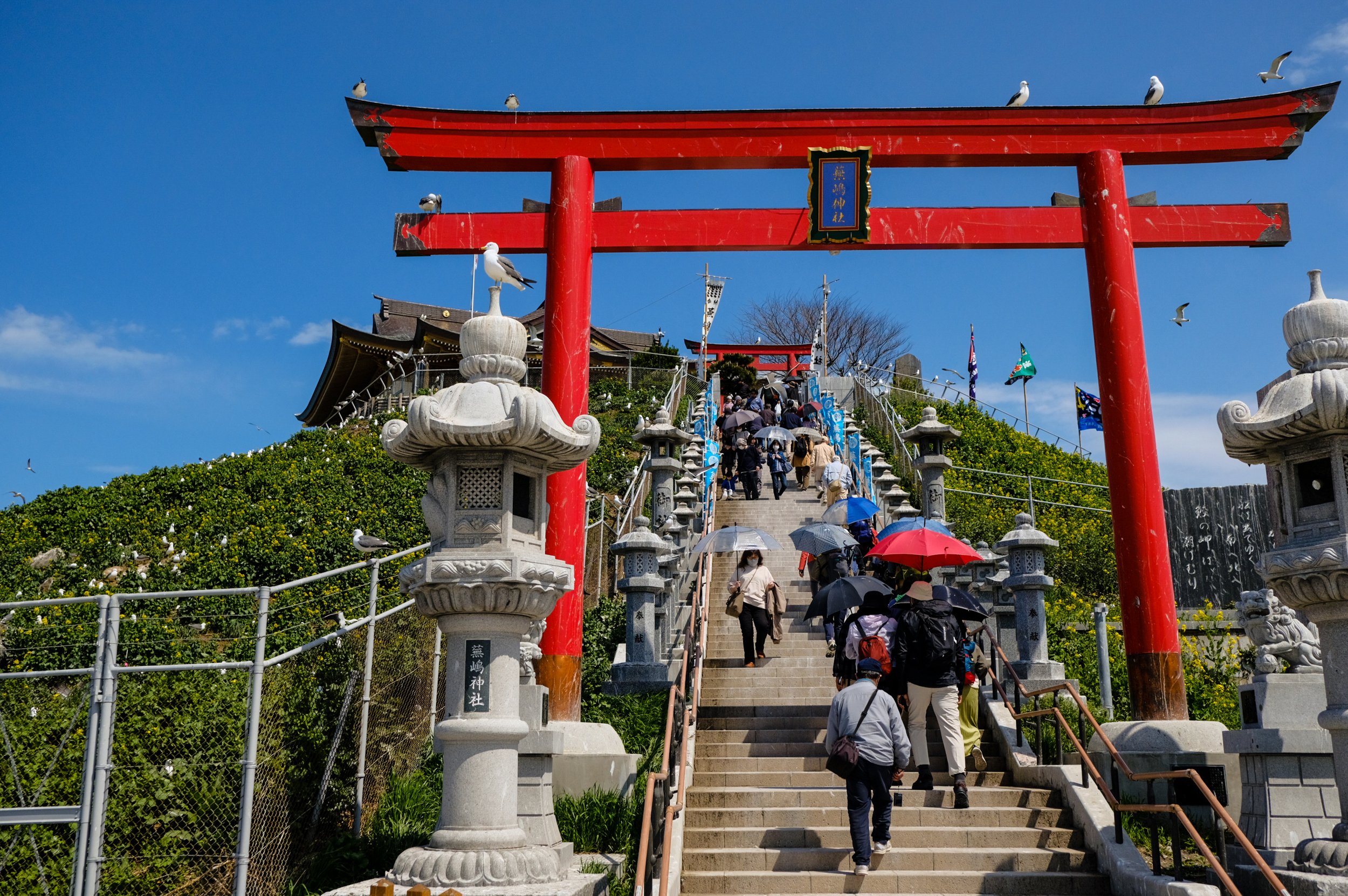 DSCF4960.jpg
