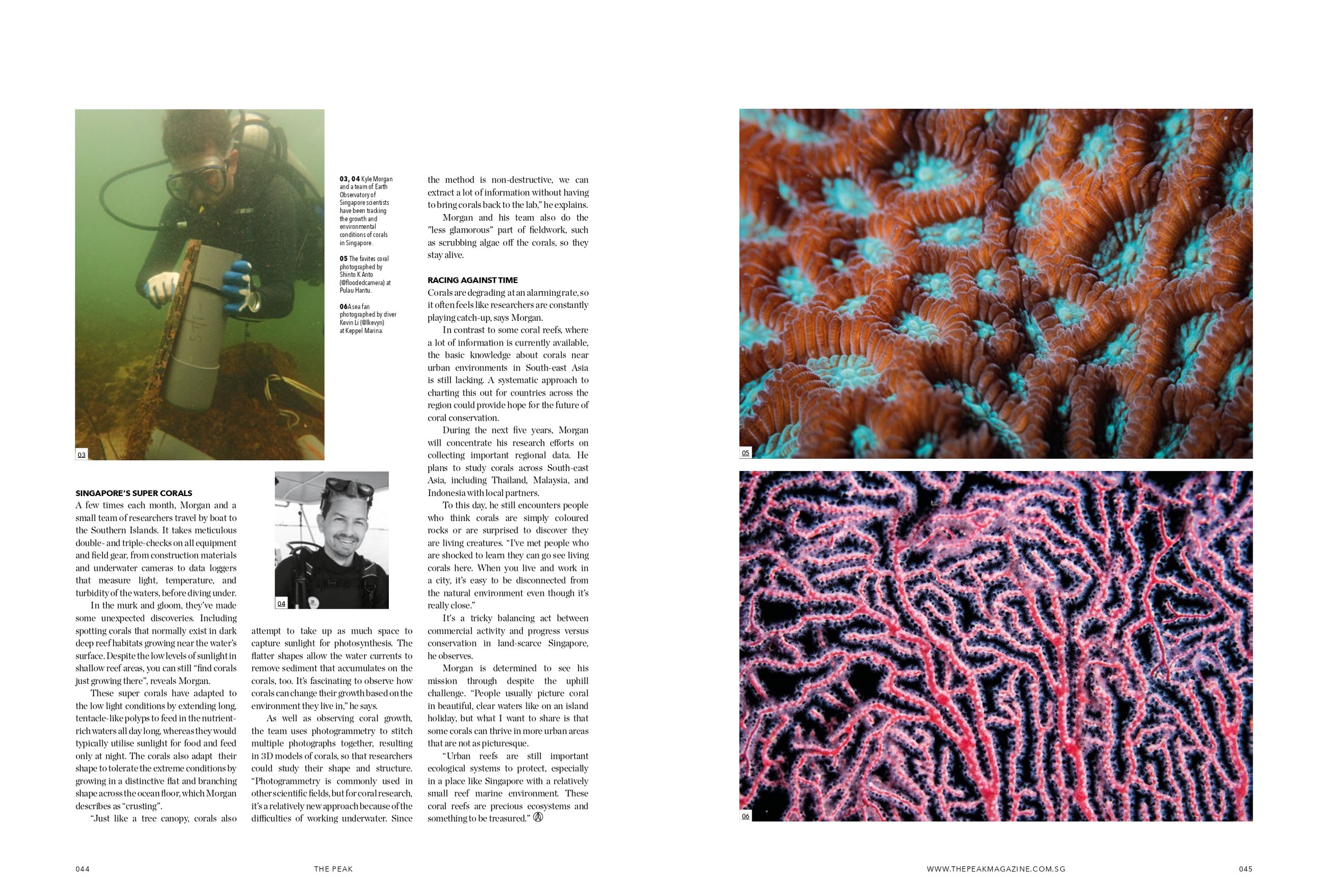 THE PEAK APR22 Coral Reefs_page-0002.jpg
