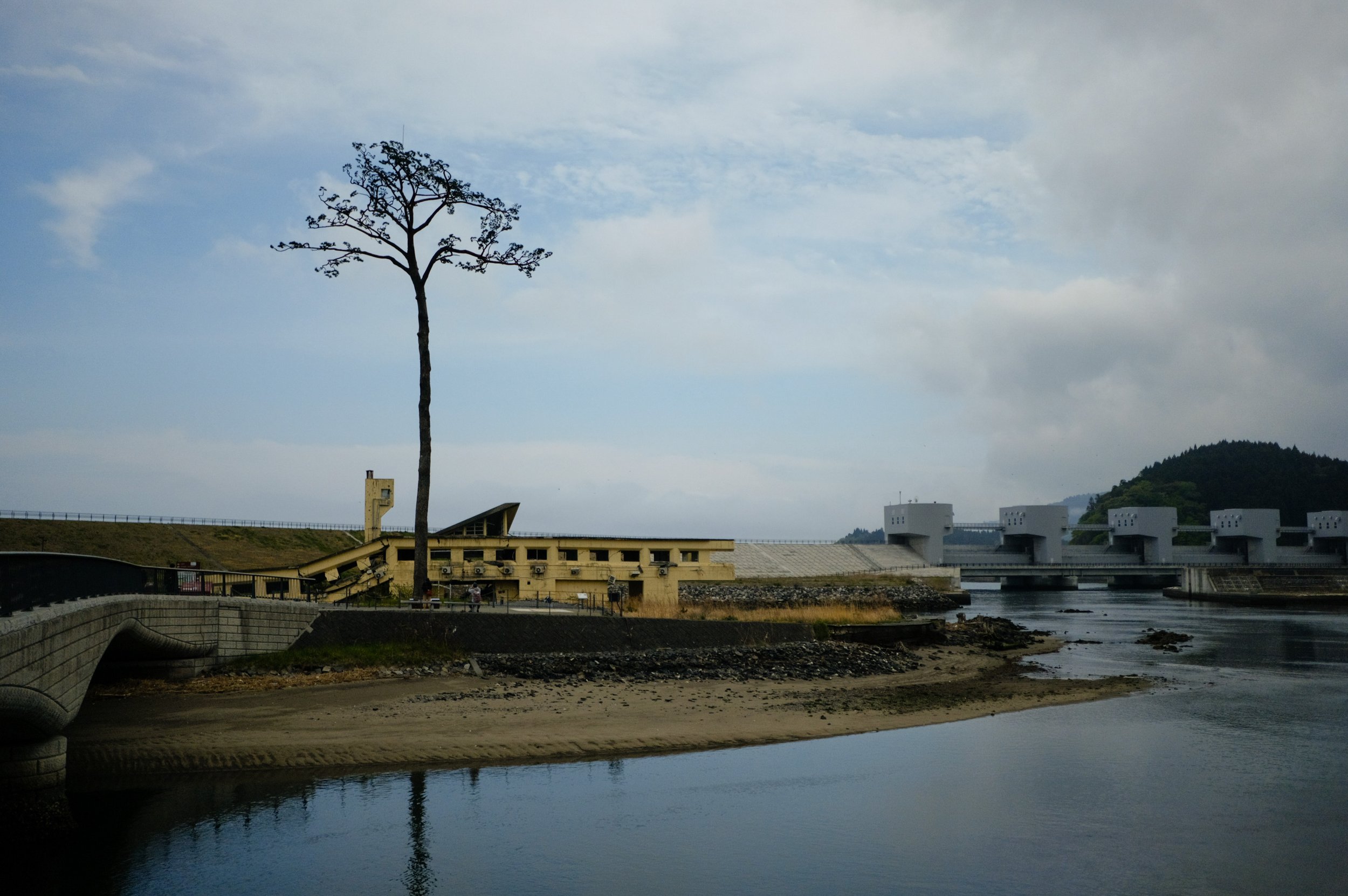 DSCF5802.jpg