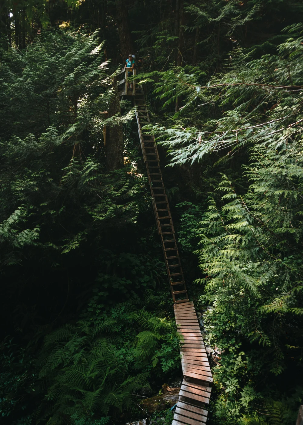 Hiking the West Coast Trail — Kat Knox