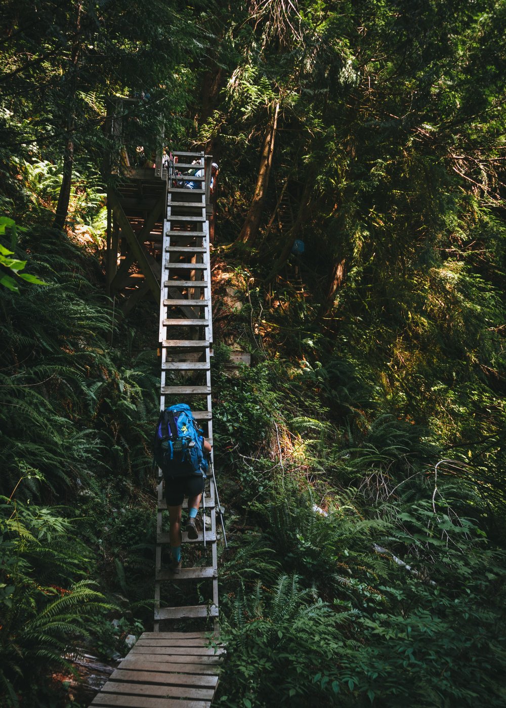 Hiking the West Coast Trail — Kat Knox
