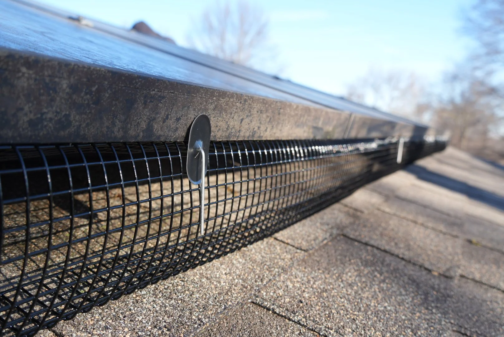 Animal Guard on a residential home, protecting the solar.