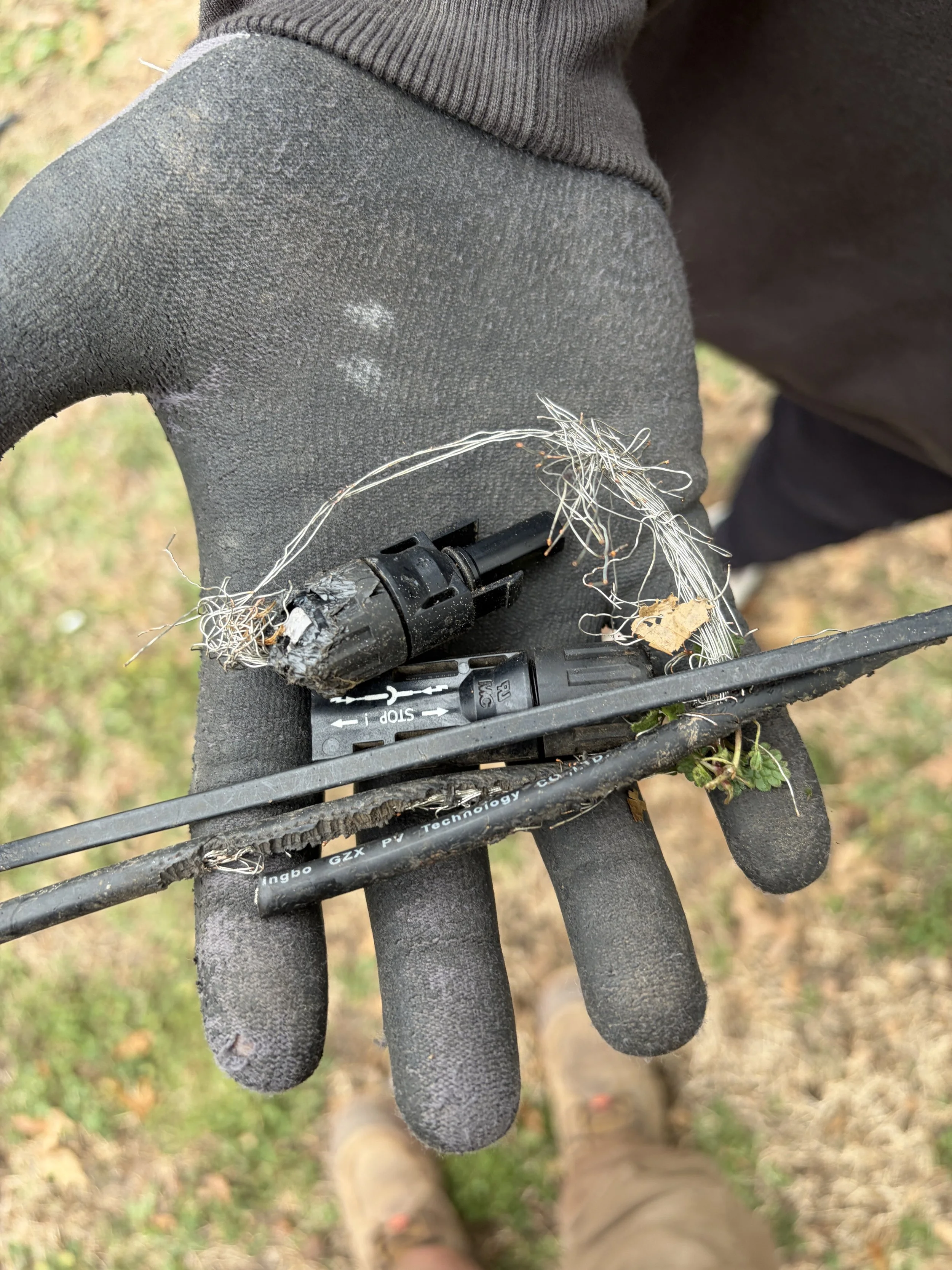 Damaged solar wiring from animals.