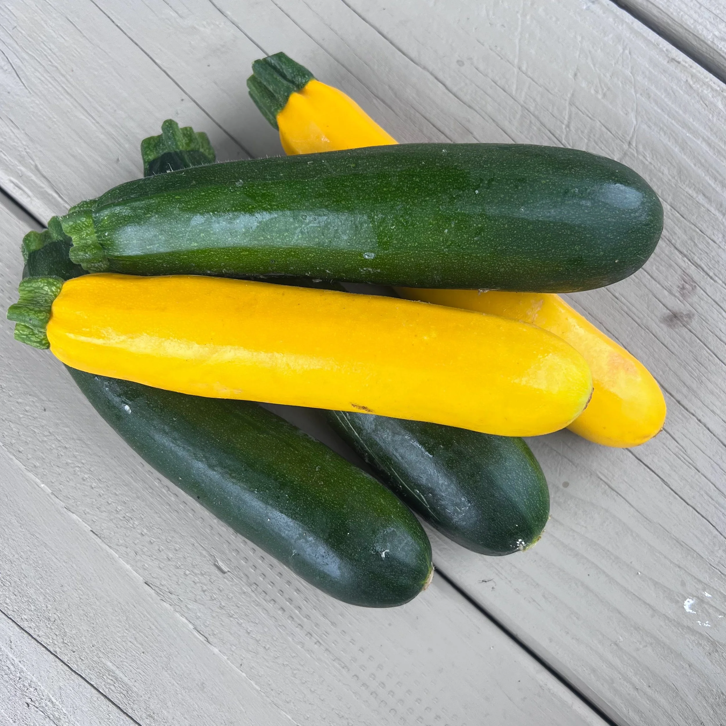 Zucchini