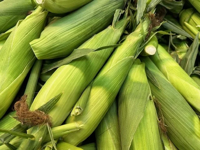 Sweet Corn
