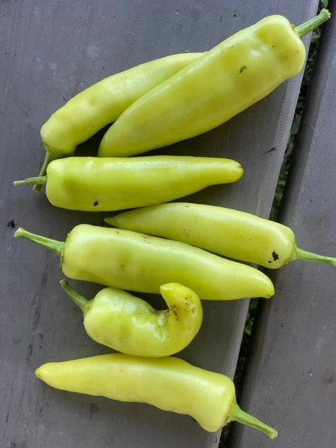 Peppers, Hot