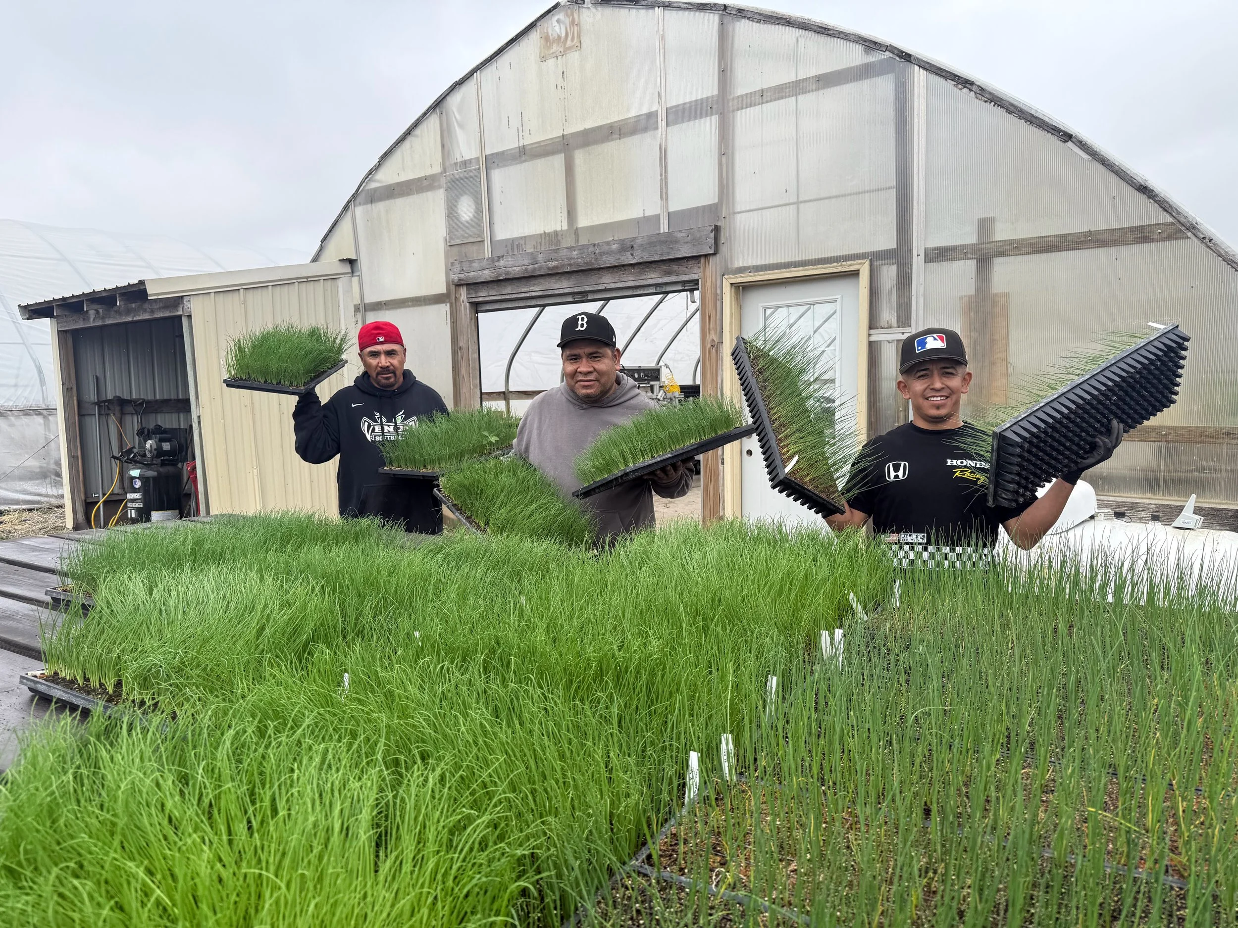 Fair Food: People at the Center of Our Season
