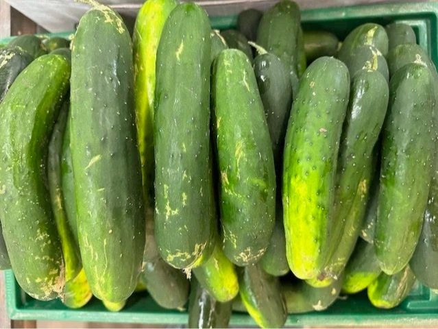 Cucumber