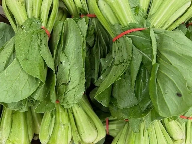 Bok Choy