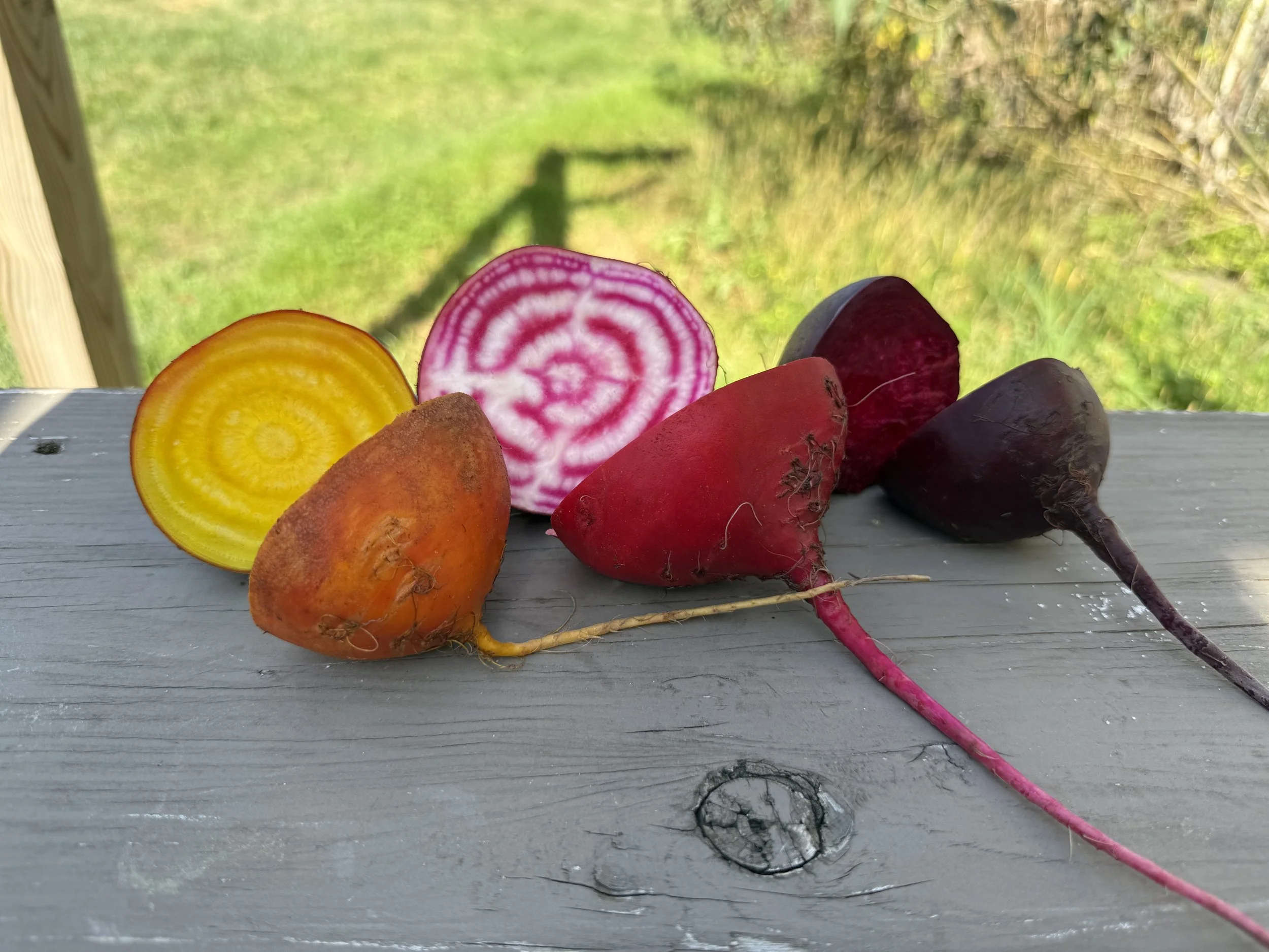 Beets