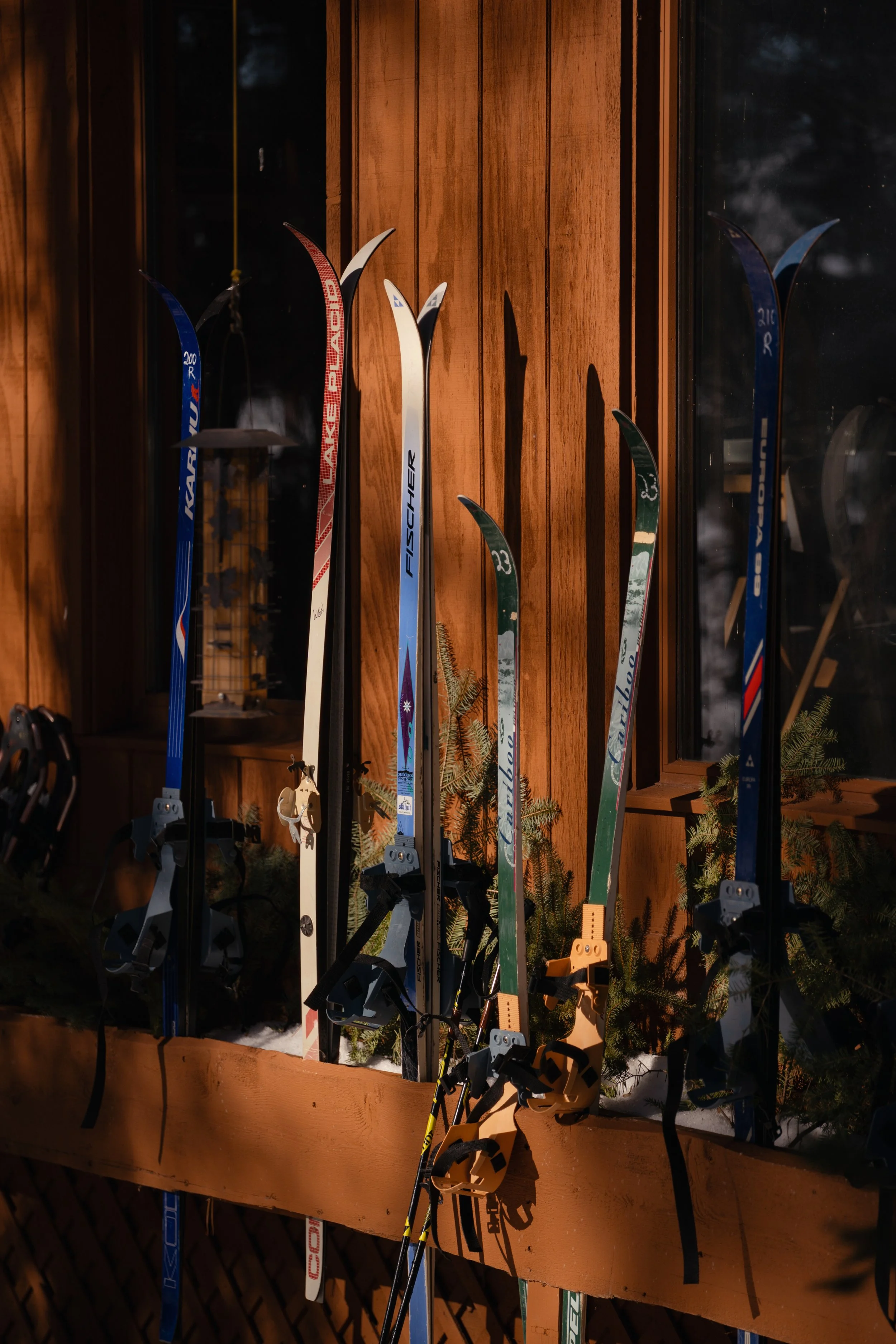 NYT_WintergreenDogsledLodge-Feature_BB101308.jpg
