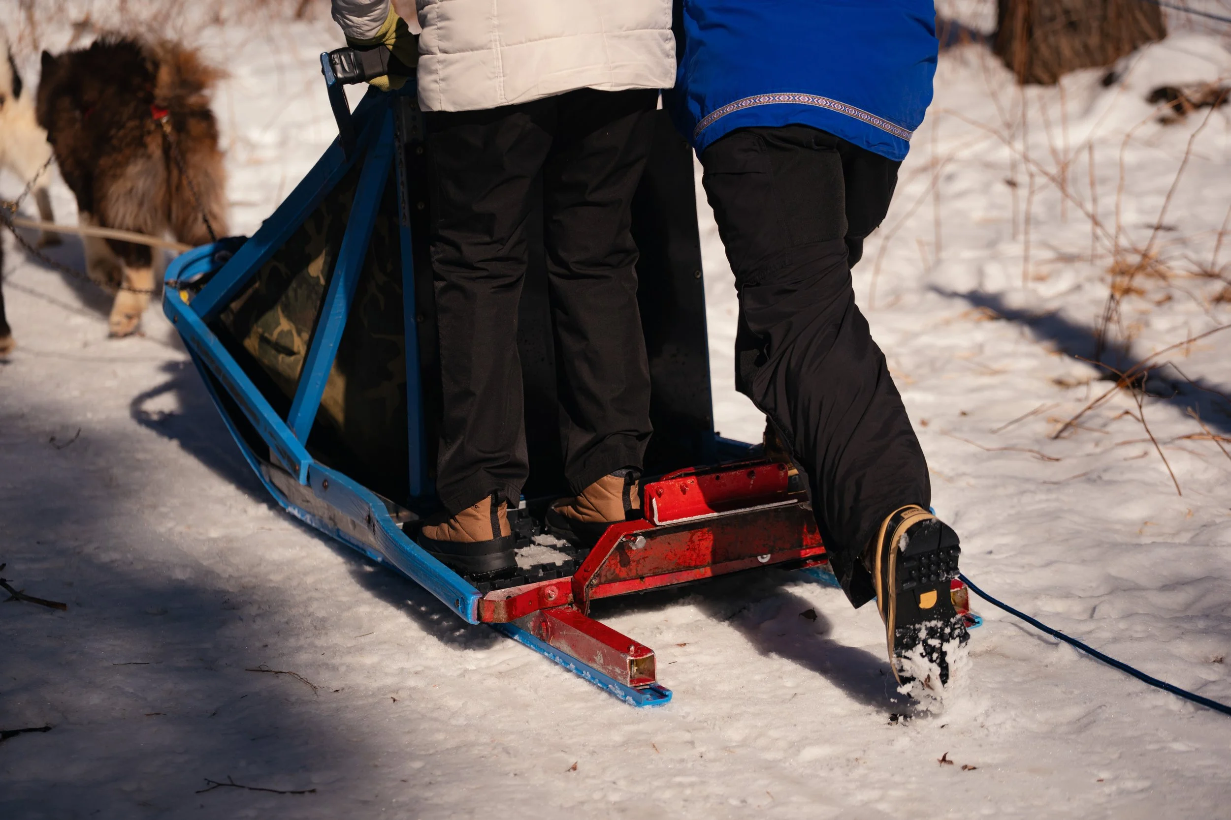 NYT_WintergreenDogsledLodge-Feature_BB101071.jpg