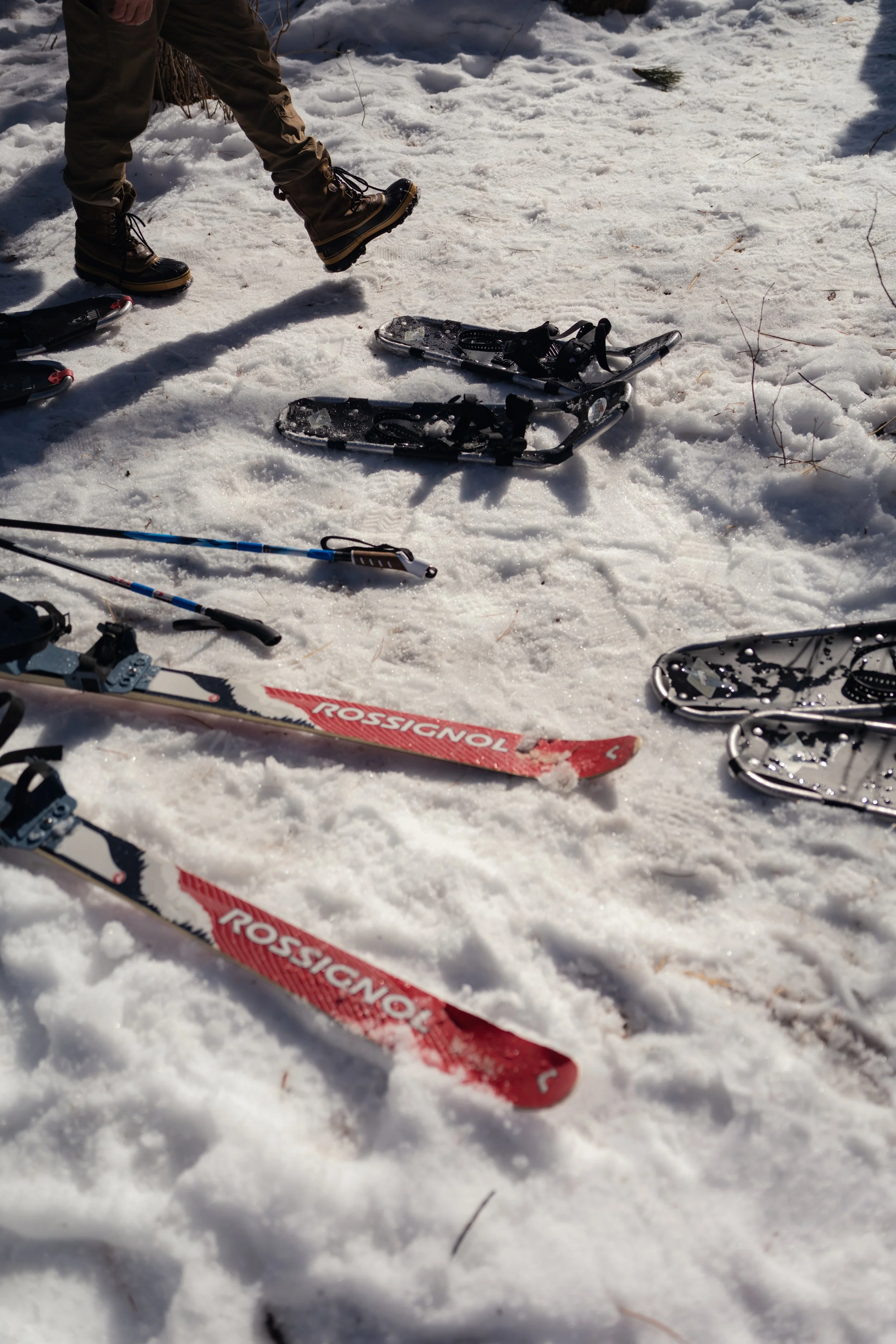 NYT_WintergreenDogsledLodge-Feature_BB207781.jpg