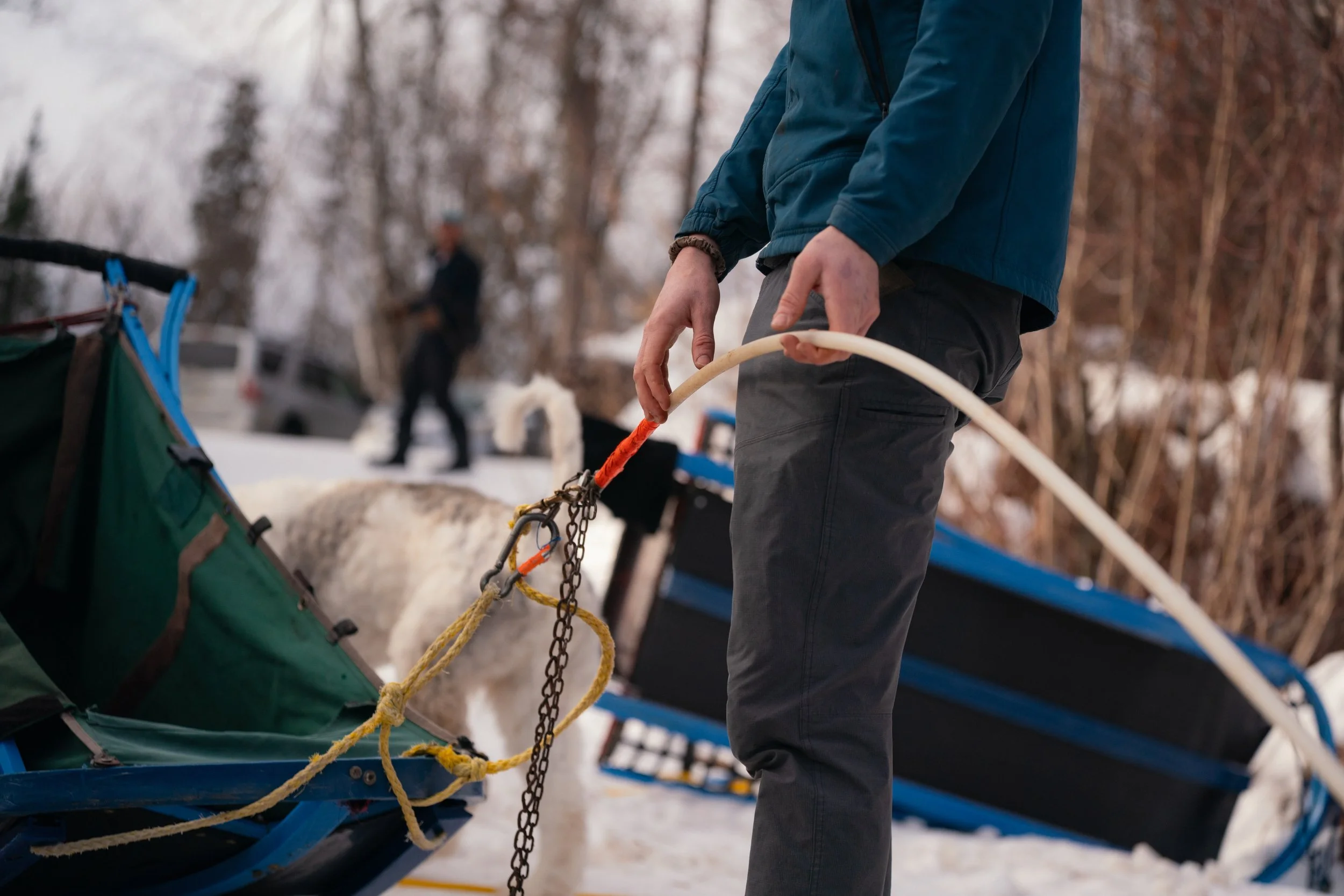 NYT_WintergreenDogsledLodge-Feature-D2_BB102805.jpg