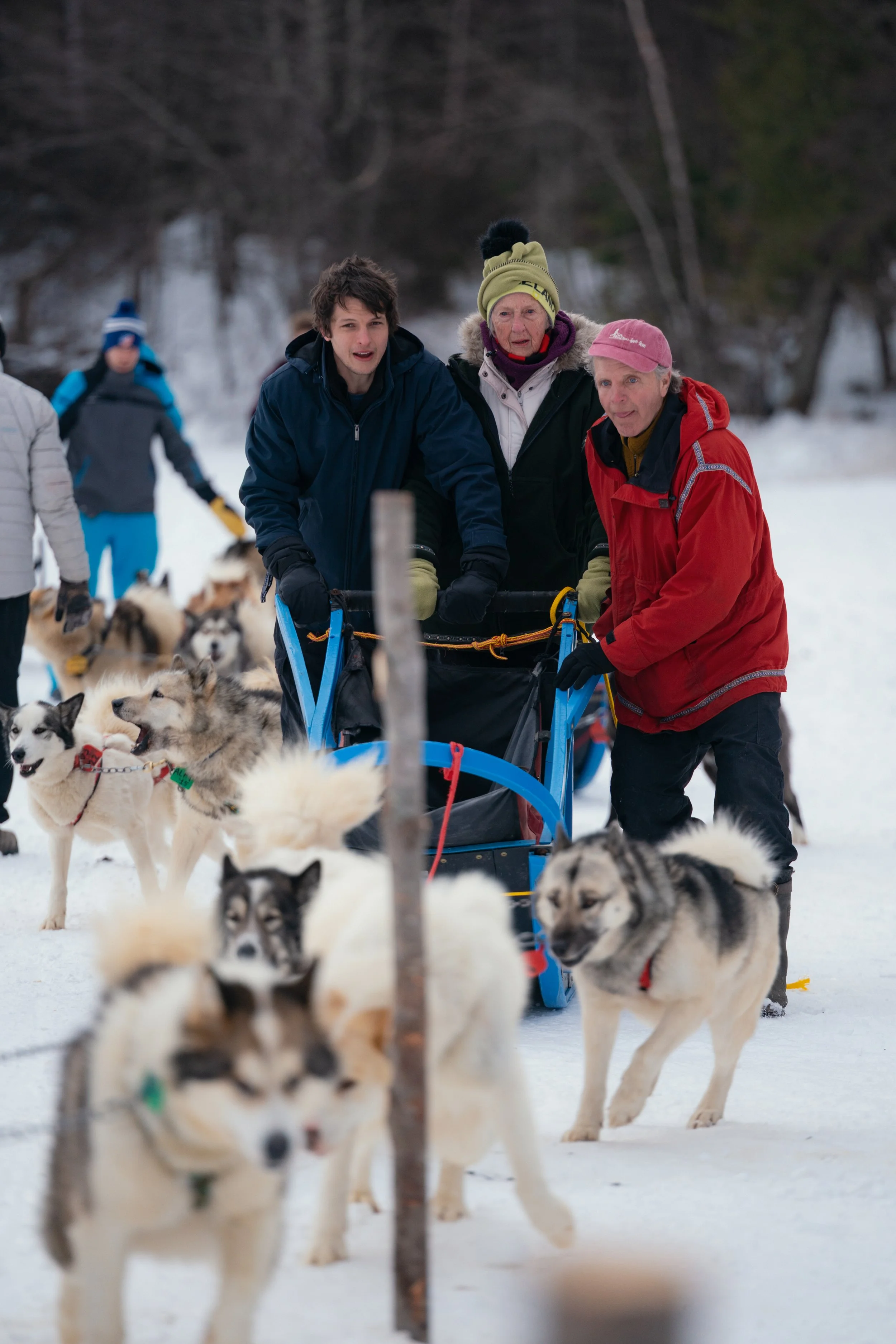 NYT_WintergreenDogsledLodge-Feature-D2_BB103226.jpg