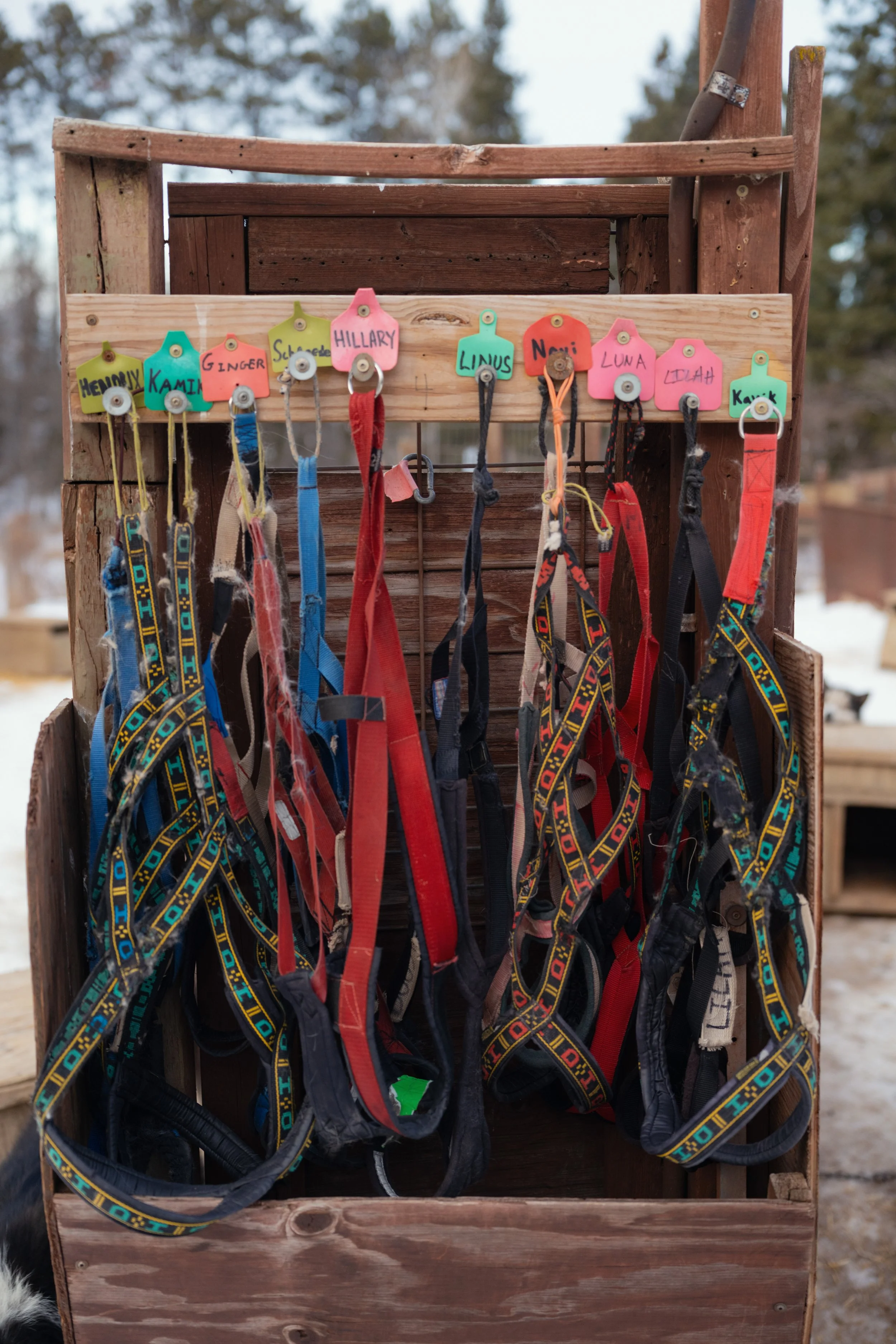 NYT_WintergreenDogsledLodge-Feature_BB209348.jpg