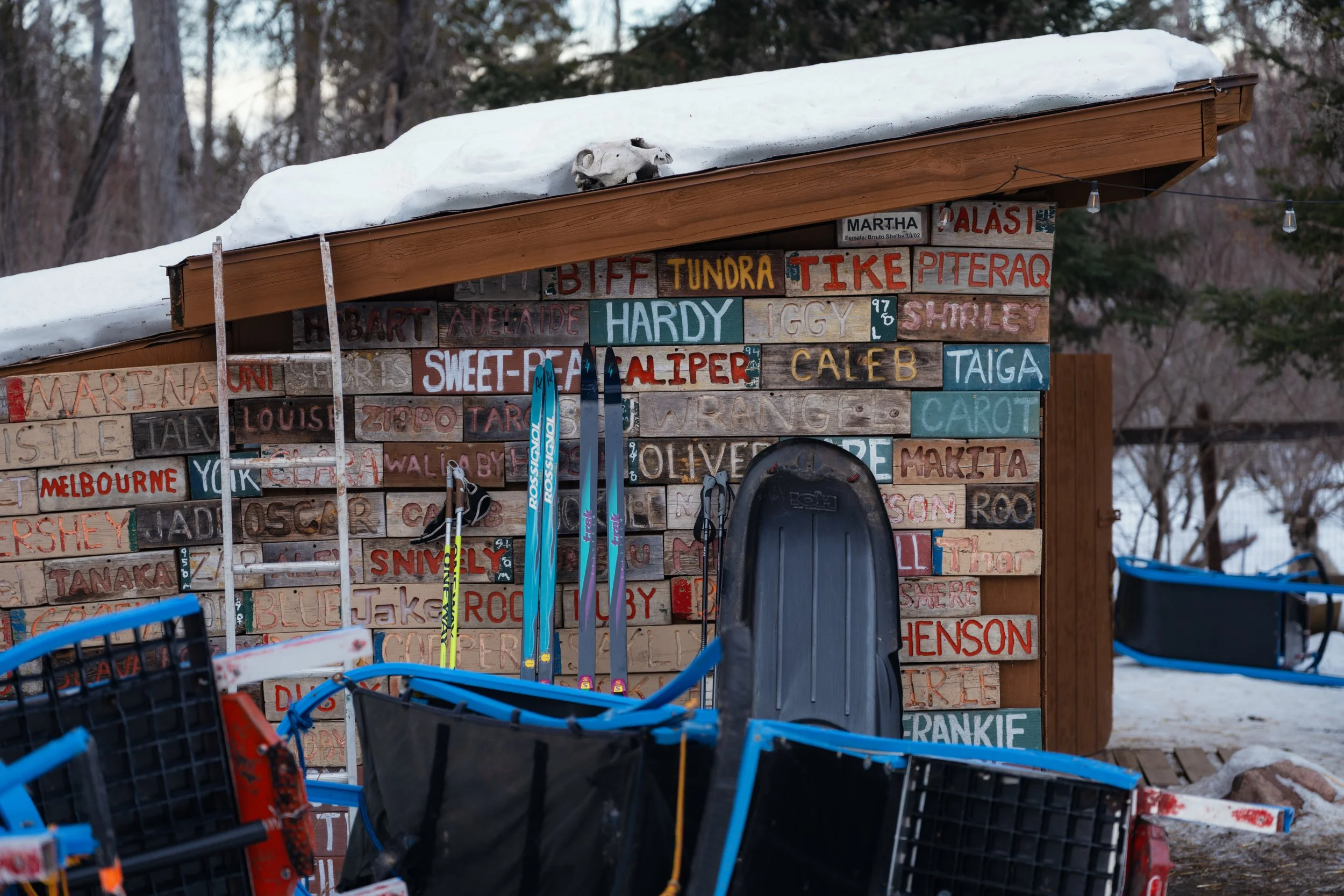 NYT_WintergreenDogsledLodge-Feature_BB209247.jpg