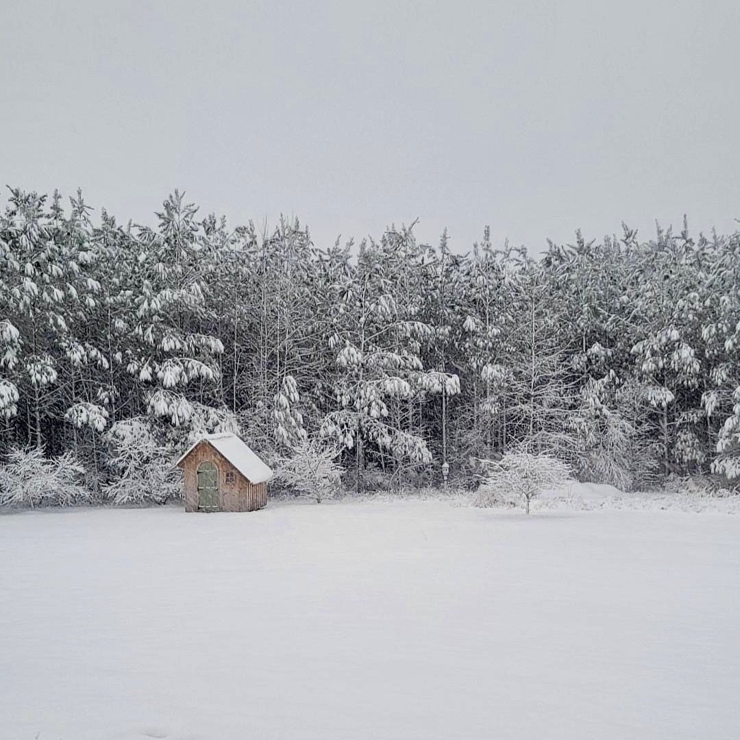 ❄️ 🌲 Winter wonderland vibes. Thank you for sharing your True Craft building pictures with us over the snowy weekend! 
Contact us today to order yours ||Build@truecraftsheds.com

#truecraftsheds #virginia #greenhouse #snow