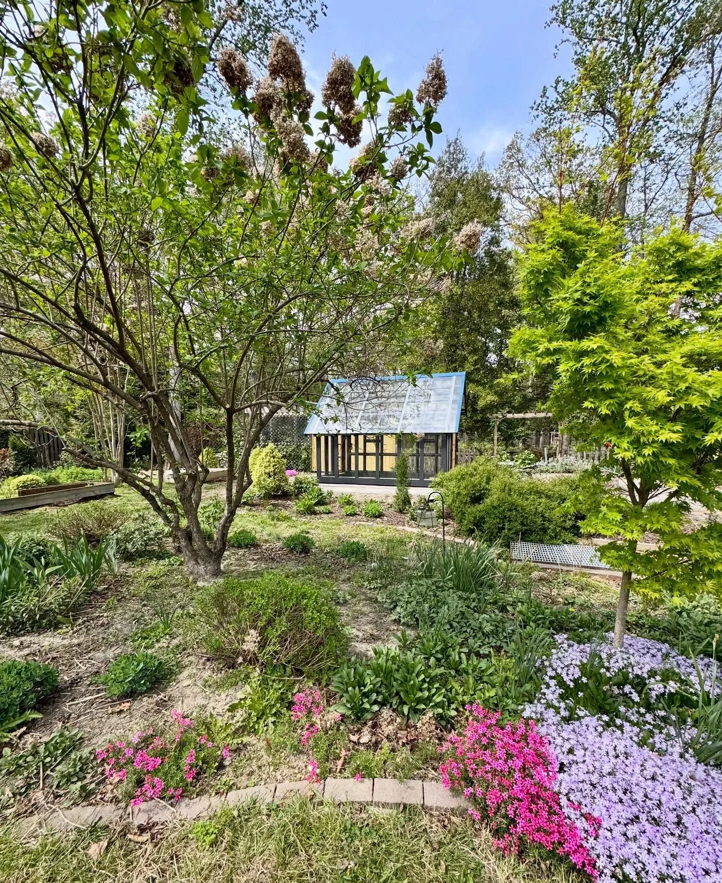 Talk about a garden oasis 🌸 We loved bringing your greenhouse dream to life for this beautiful garden! 8&rsquo; x 12&rsquo; Hampshire design with arched door. 

✨ ORDER: build@truecraftsheds.com
✨ Nationwide shipping 
✨ Delivered fully built, no kit