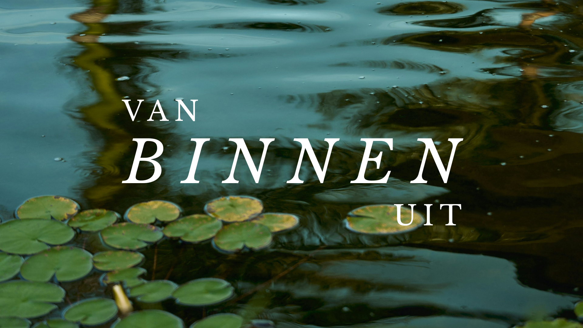 Van Binnen Uit - Living Room Edition