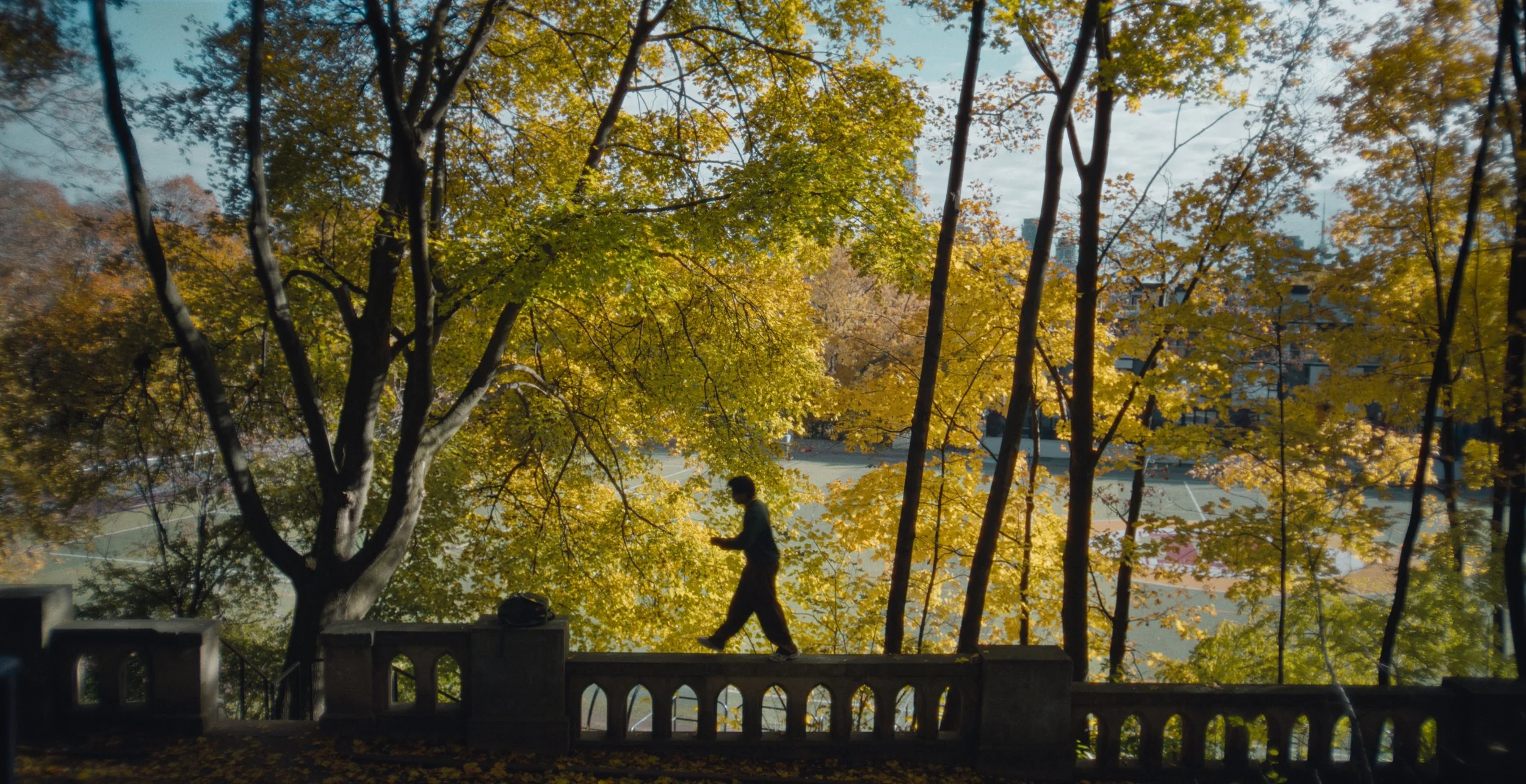 Still 2026-02-09 180101_1.1.12.jpg