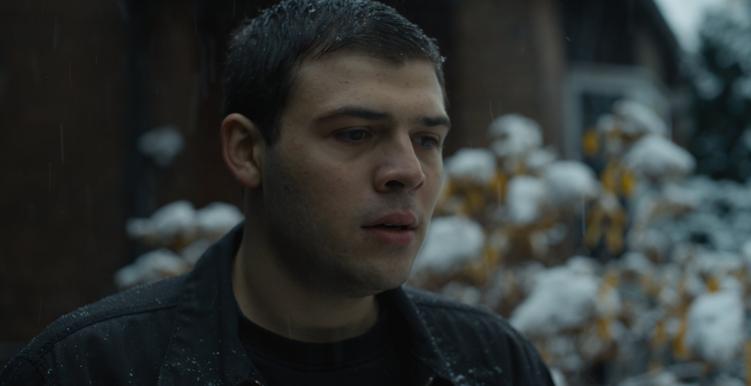 Still 2026-02-09 180101_1.13.32.jpg