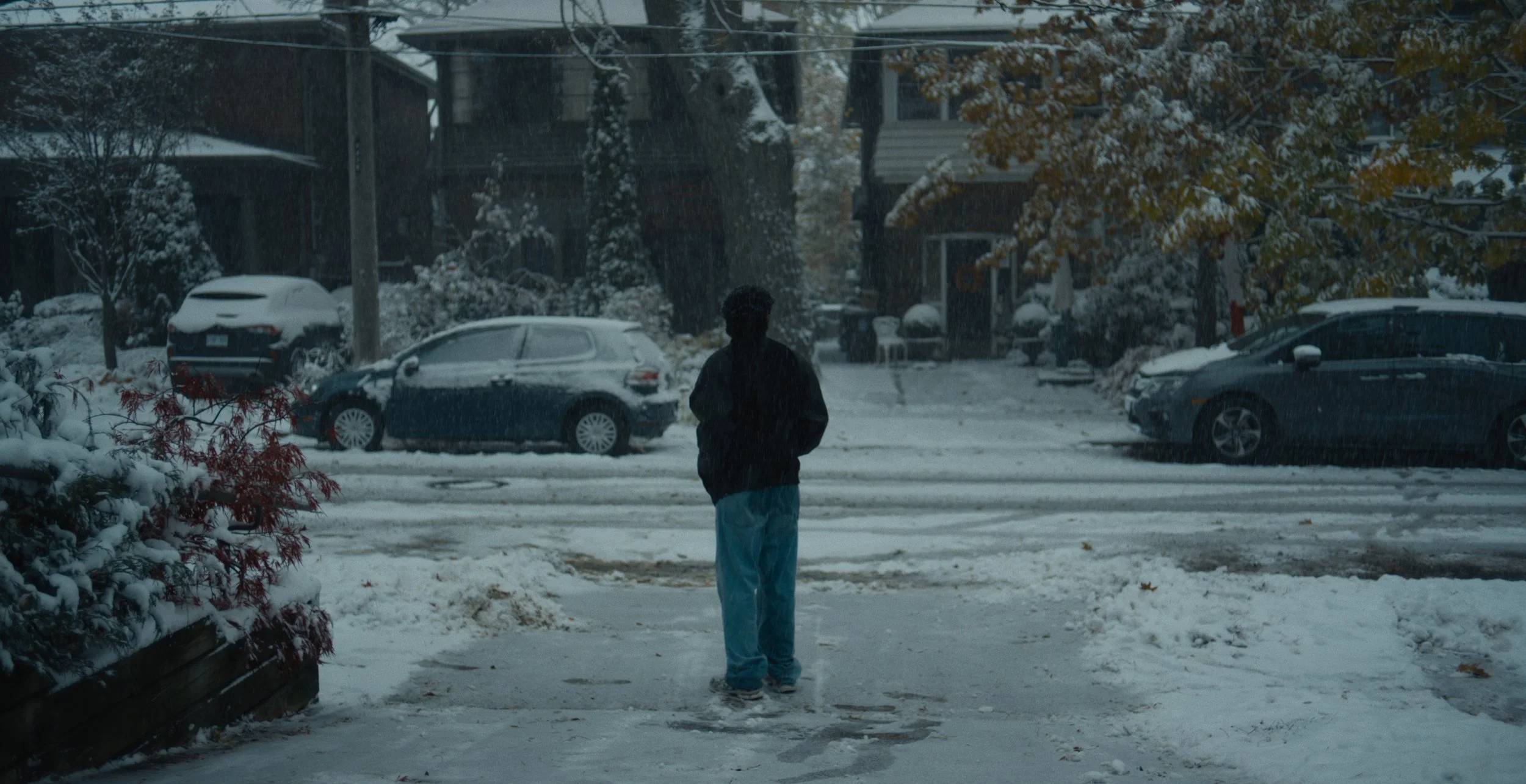 Still 2026-02-09 180101_1.27.1.jpg