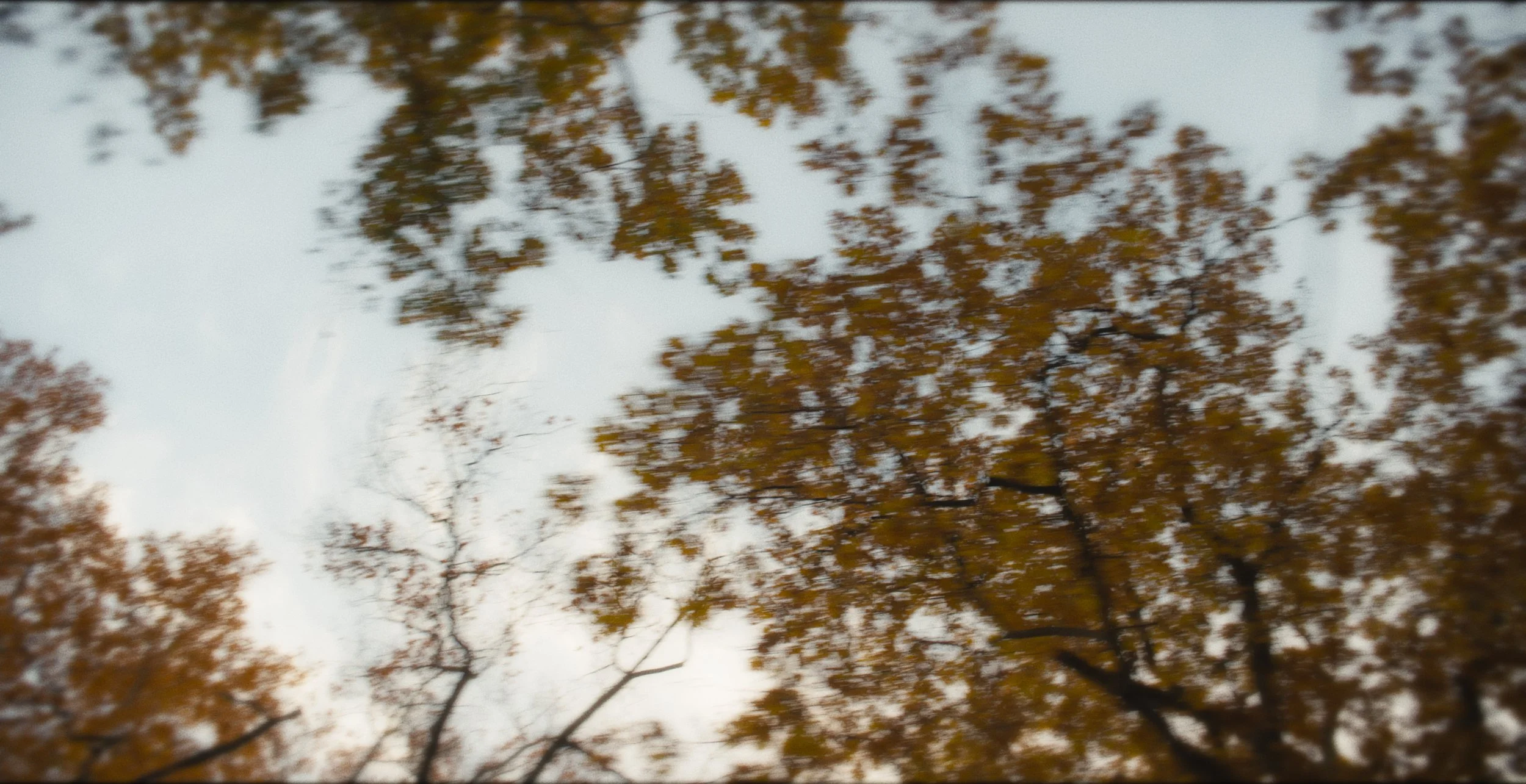 Still 2026-02-09 180101_1.3.34.jpg