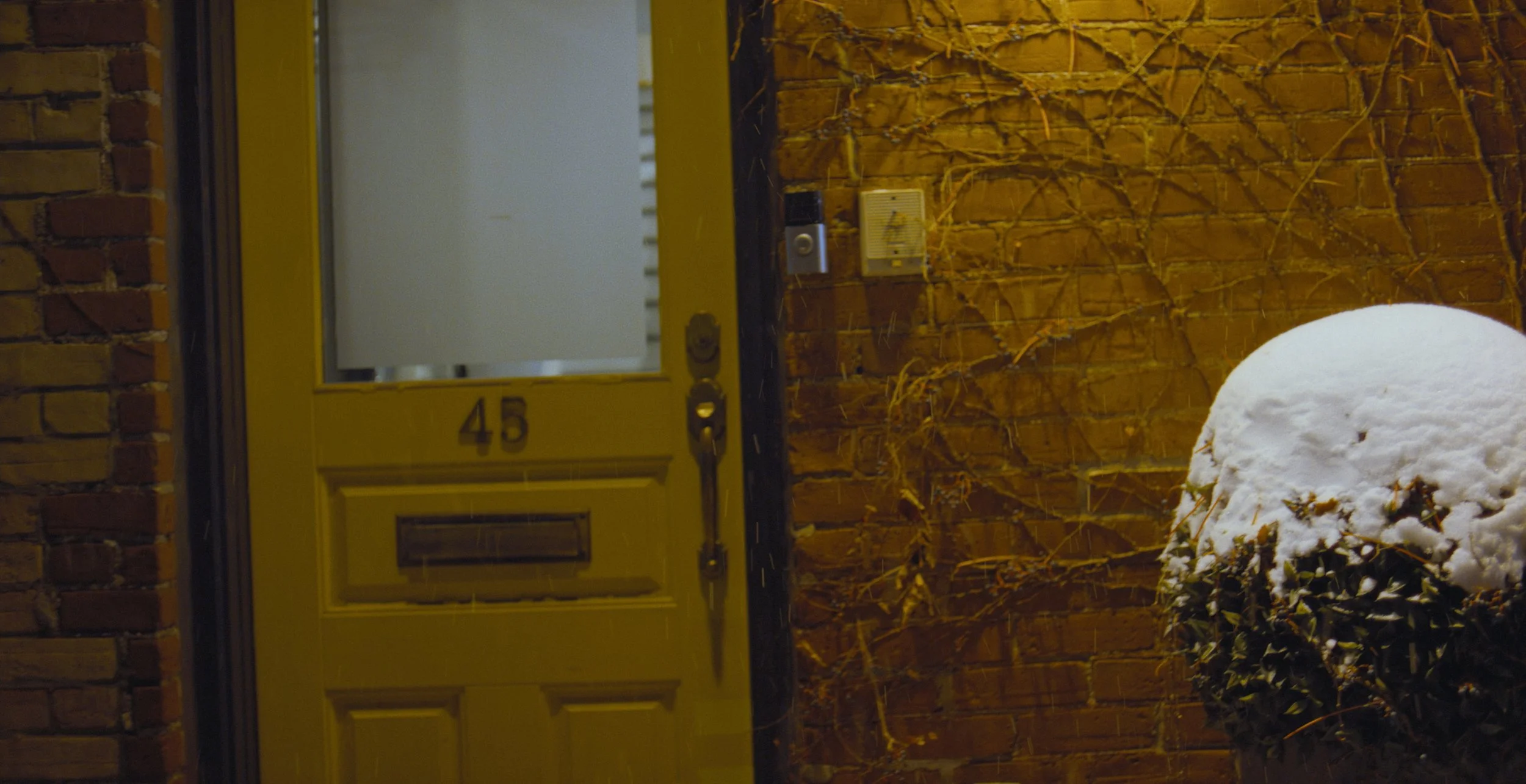 Still 2026-02-09 180101_1.6.46.jpg