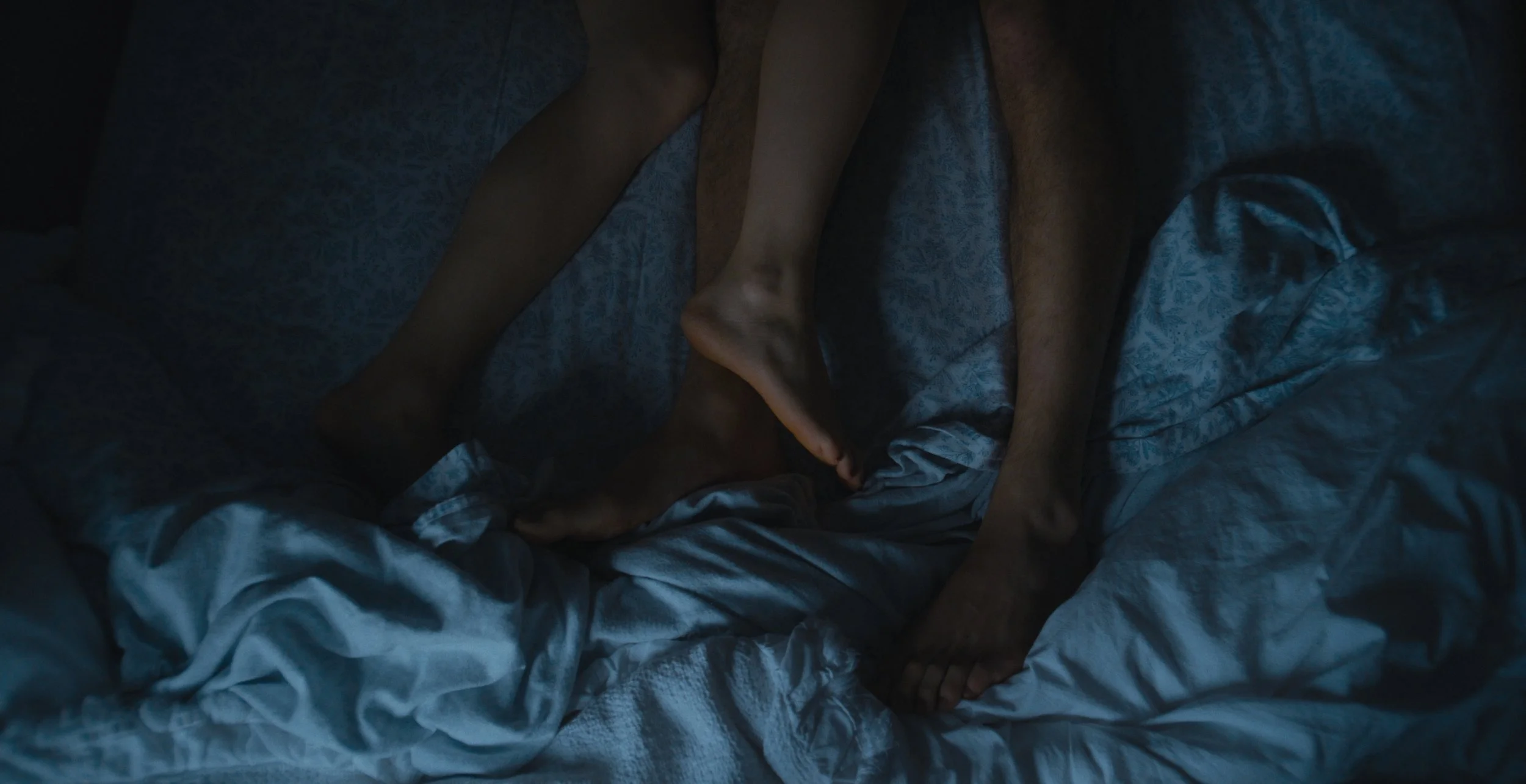 Still 2026-02-09 180101_1.9.17.jpg