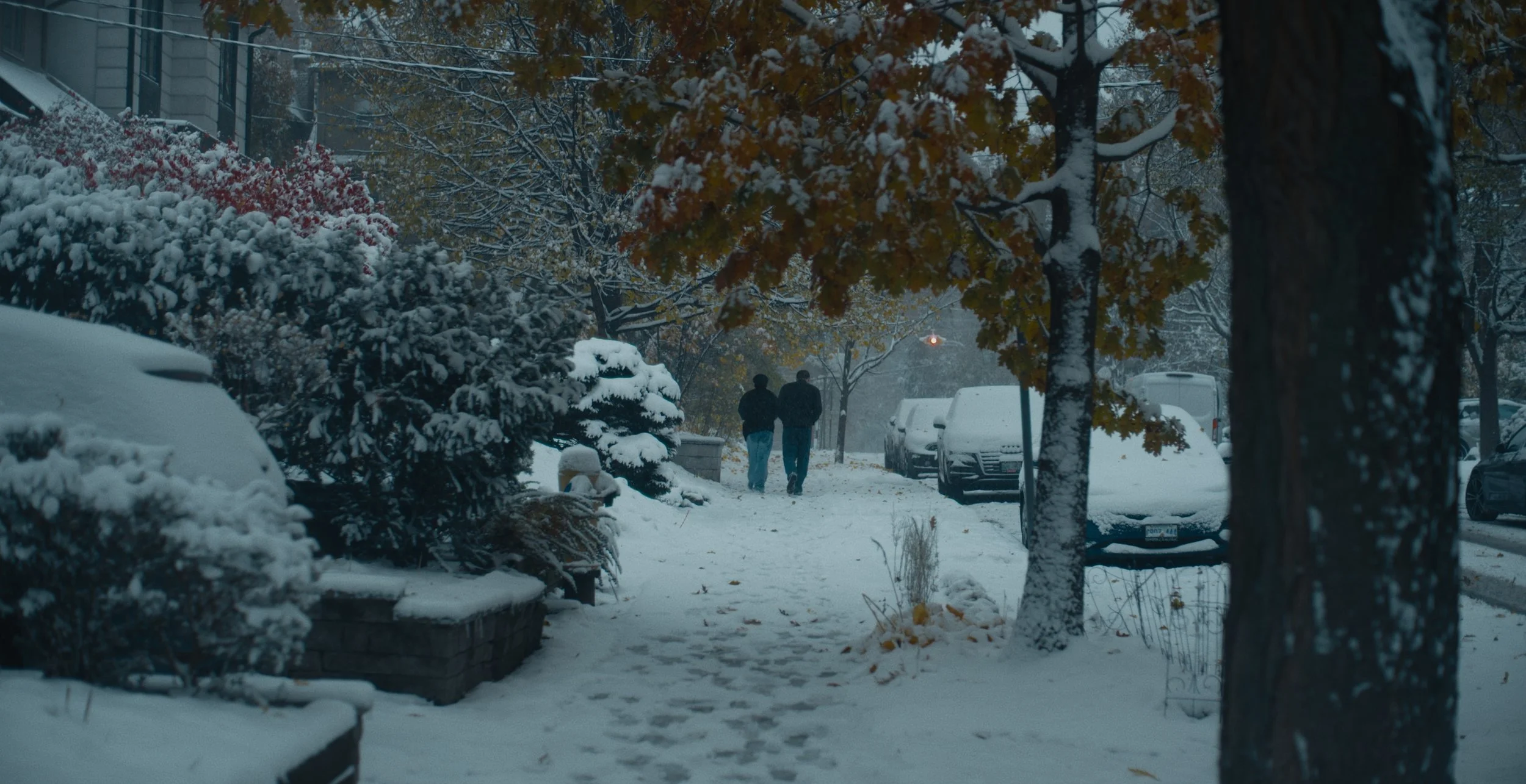 Still 2026-02-09 180101_1.28.5.jpg