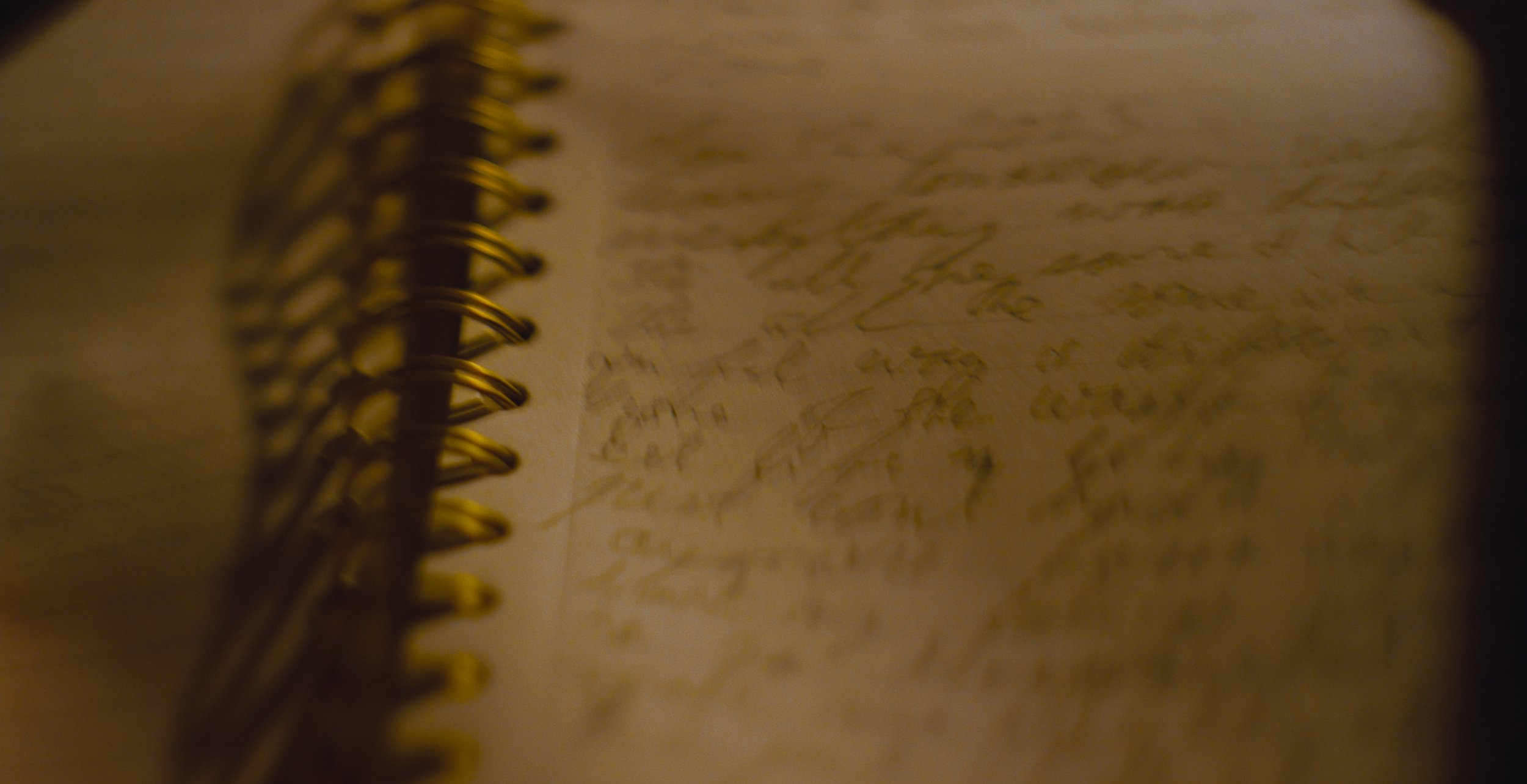 Still 2026-02-09 180101_1.9.19.jpg