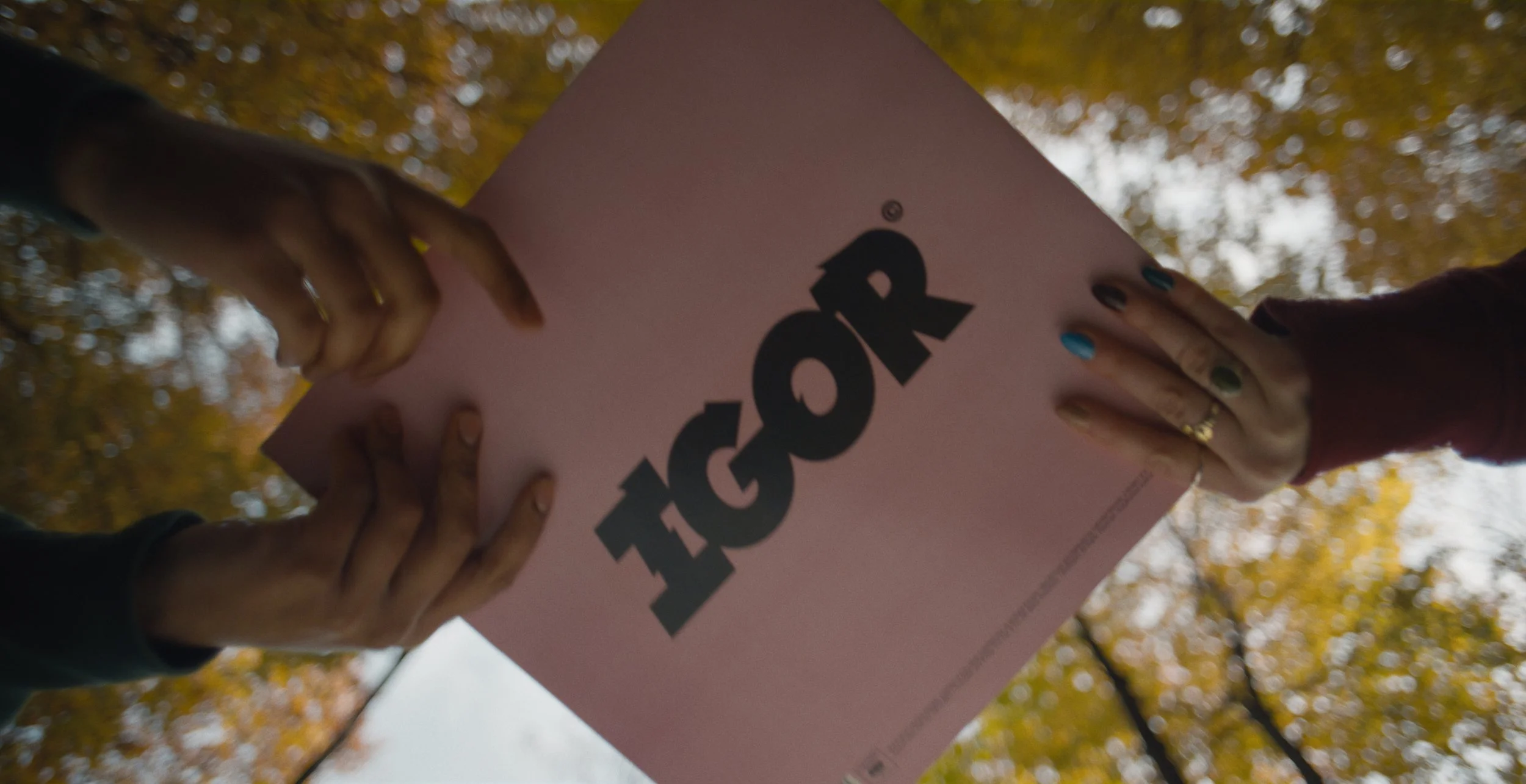 Still 2026-02-09 180101_1.1.7.jpg