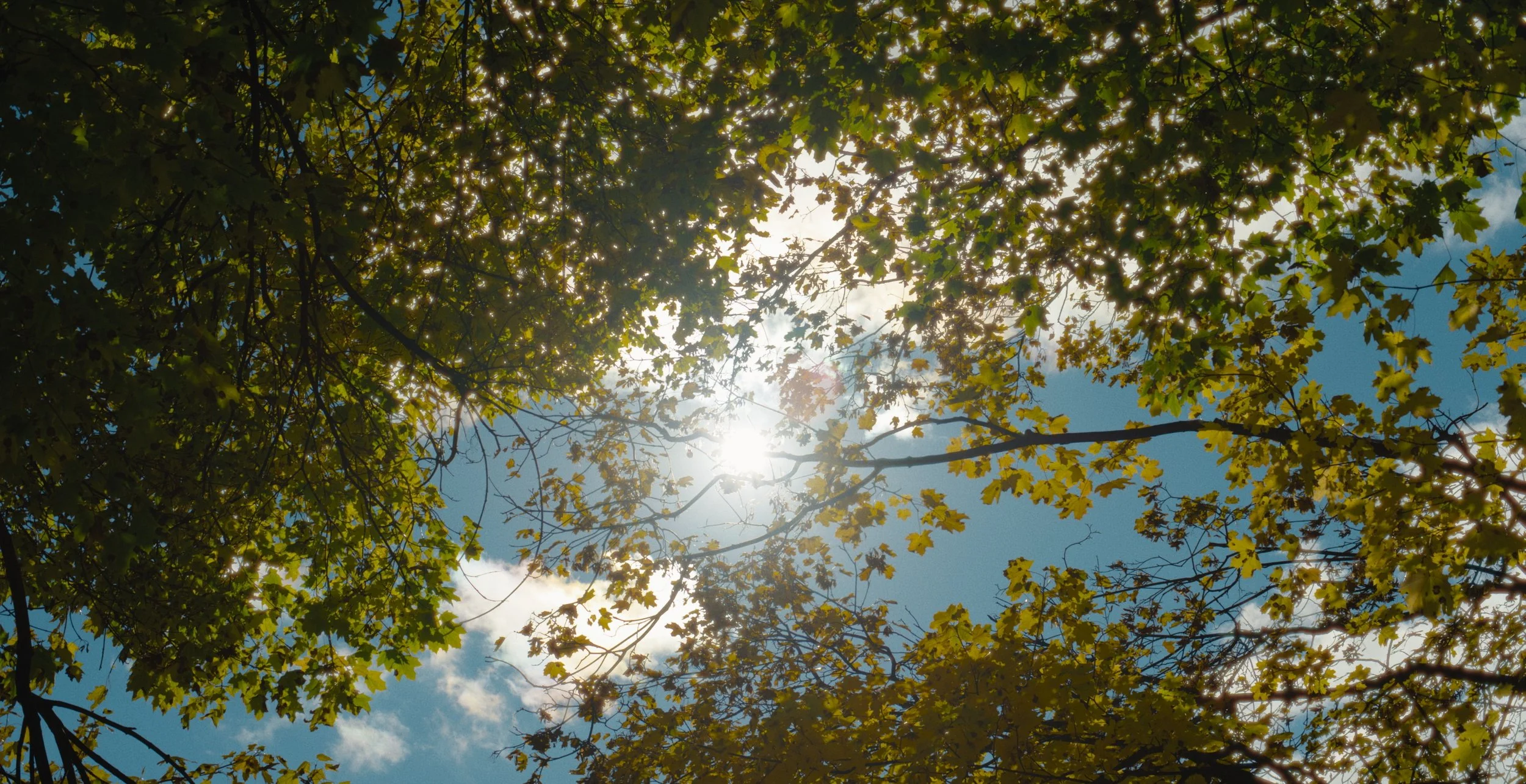 Still 2026-02-09 180101_1.3.42.jpg